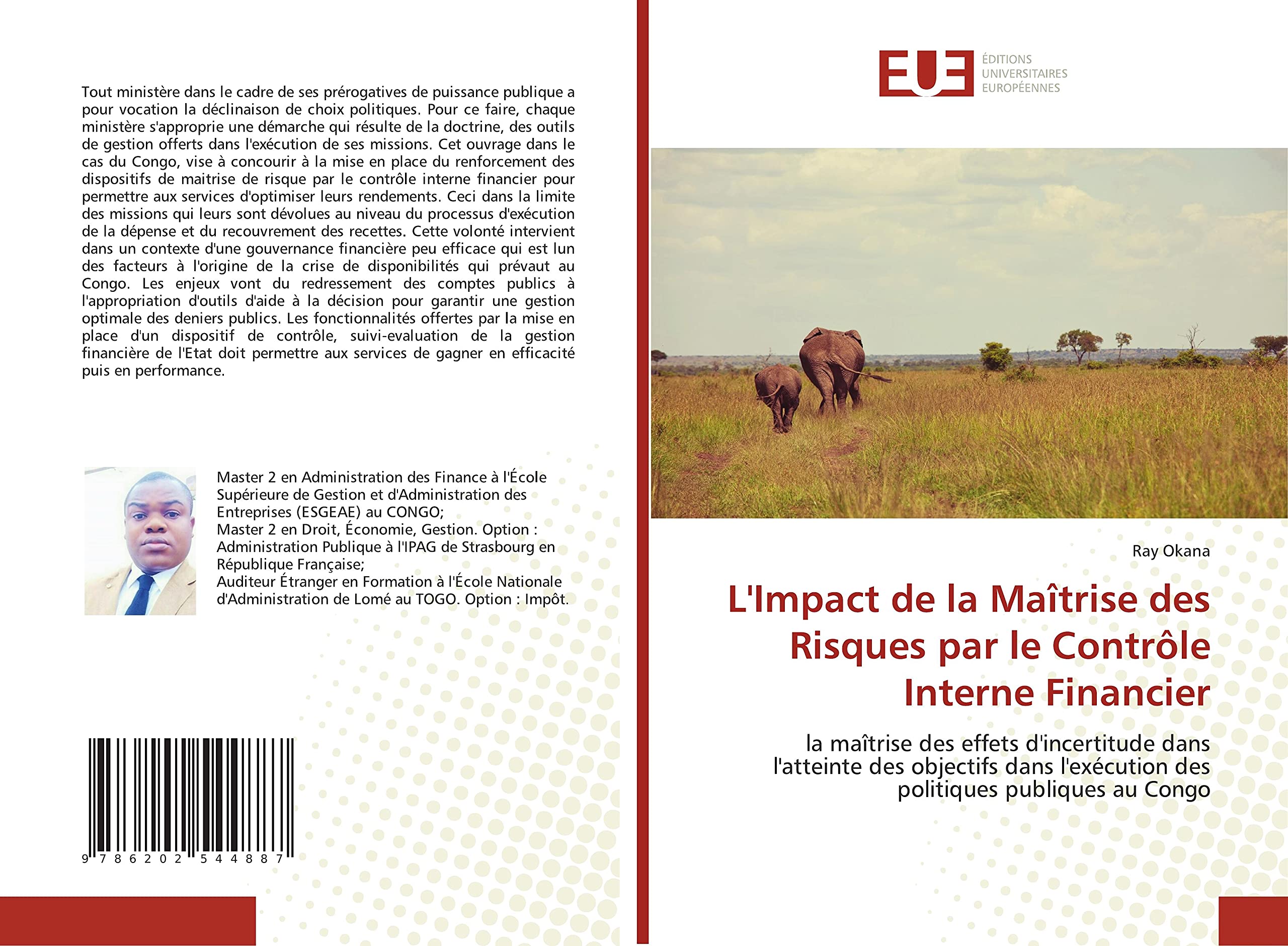 L'Impact de la Maîtrise des Risques par le Contrôle Interne Financier book