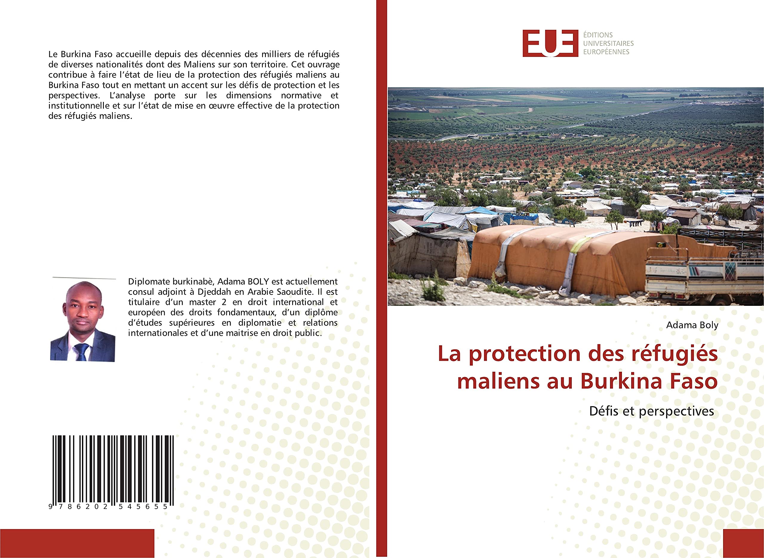 La protection des réfugiés maliens au Burkina Faso: Défis et perspectives book