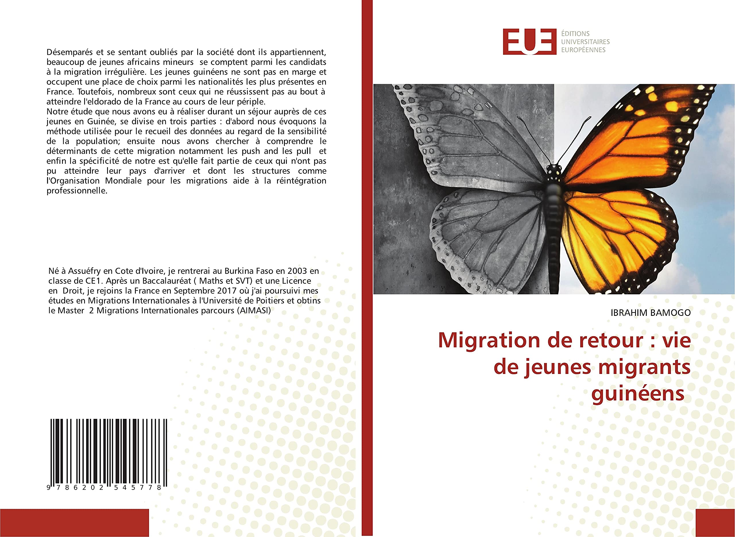 Migration de retour : vie de jeunes migrants guinéens book