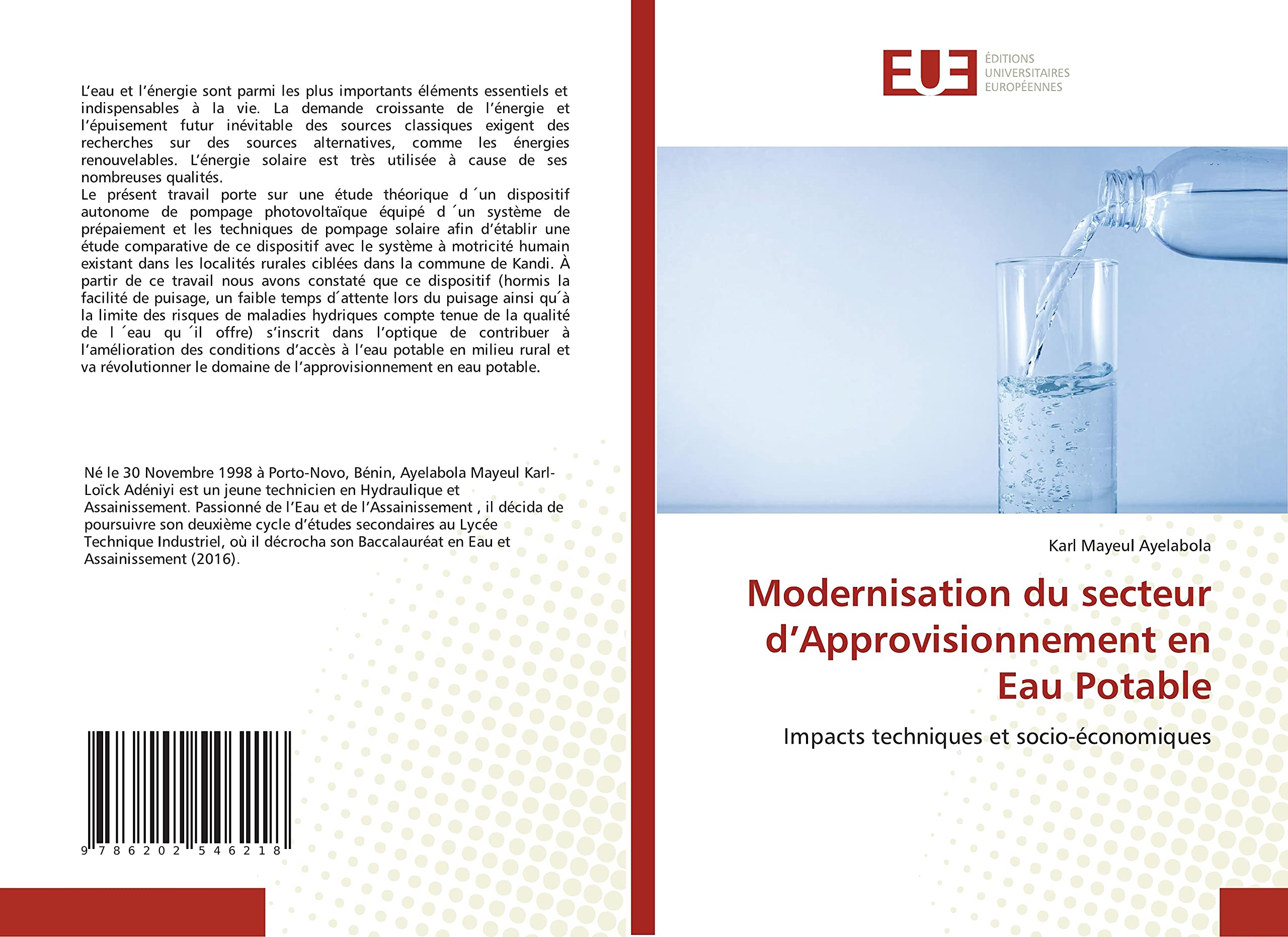 Modernisation du secteur d’Approvisionnement en Eau Potable: Impacts techniques et socio-économiques book
