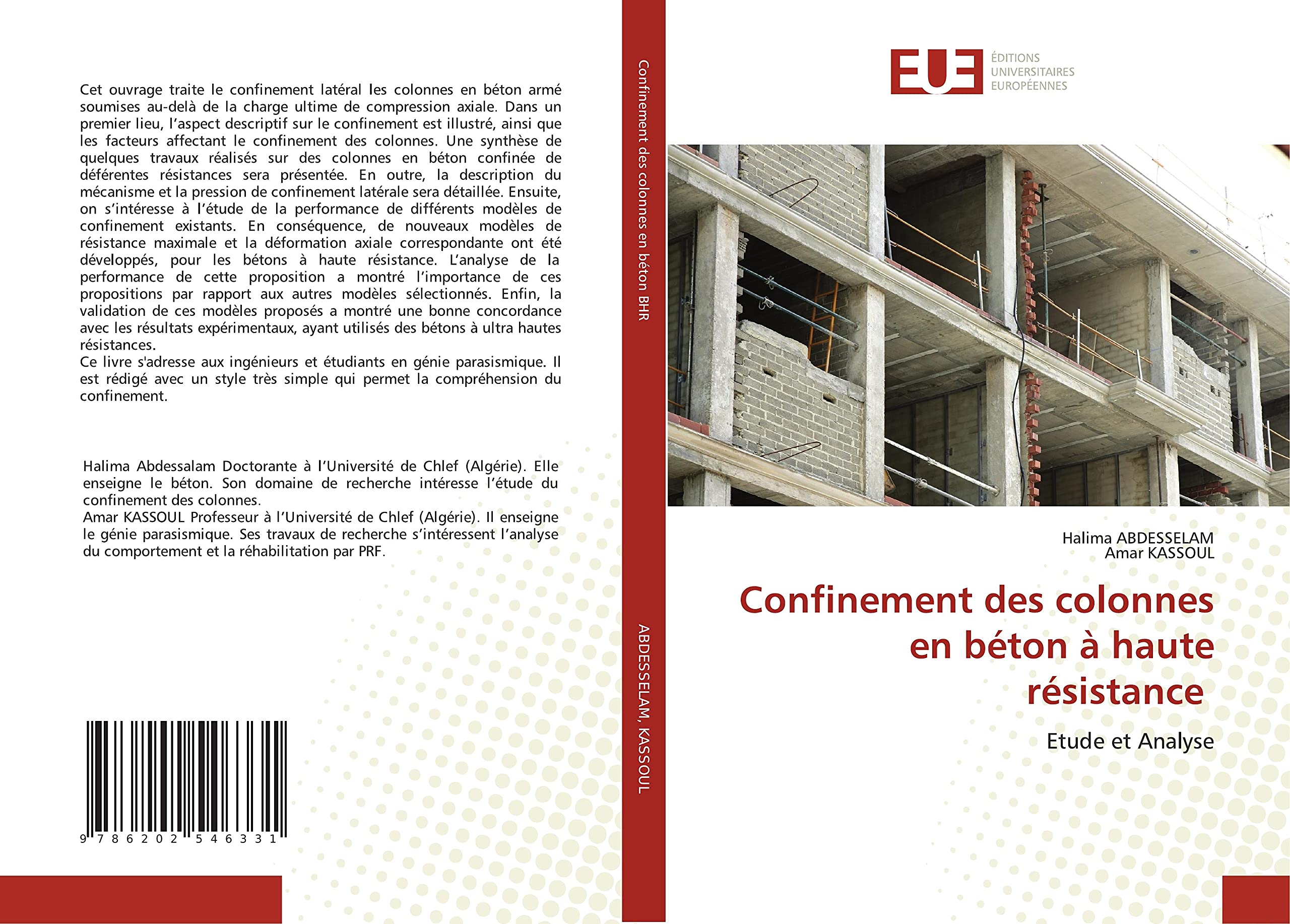 Confinement des colonnes en béton à haute résistance: Etude et Analyse book
