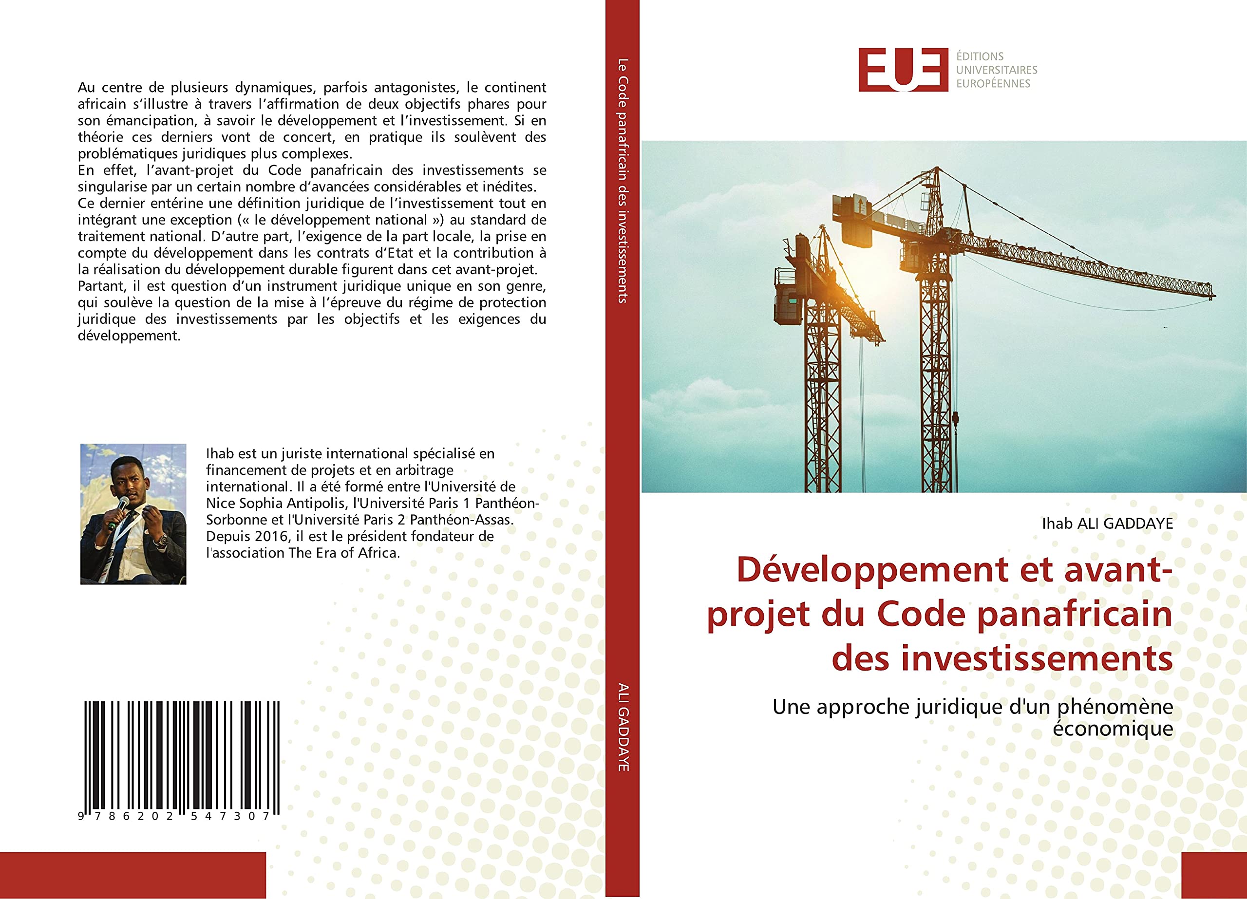 Développement et avant-projet du Code panafricain des investissements: Une approche juridique d'un phénomène économique book