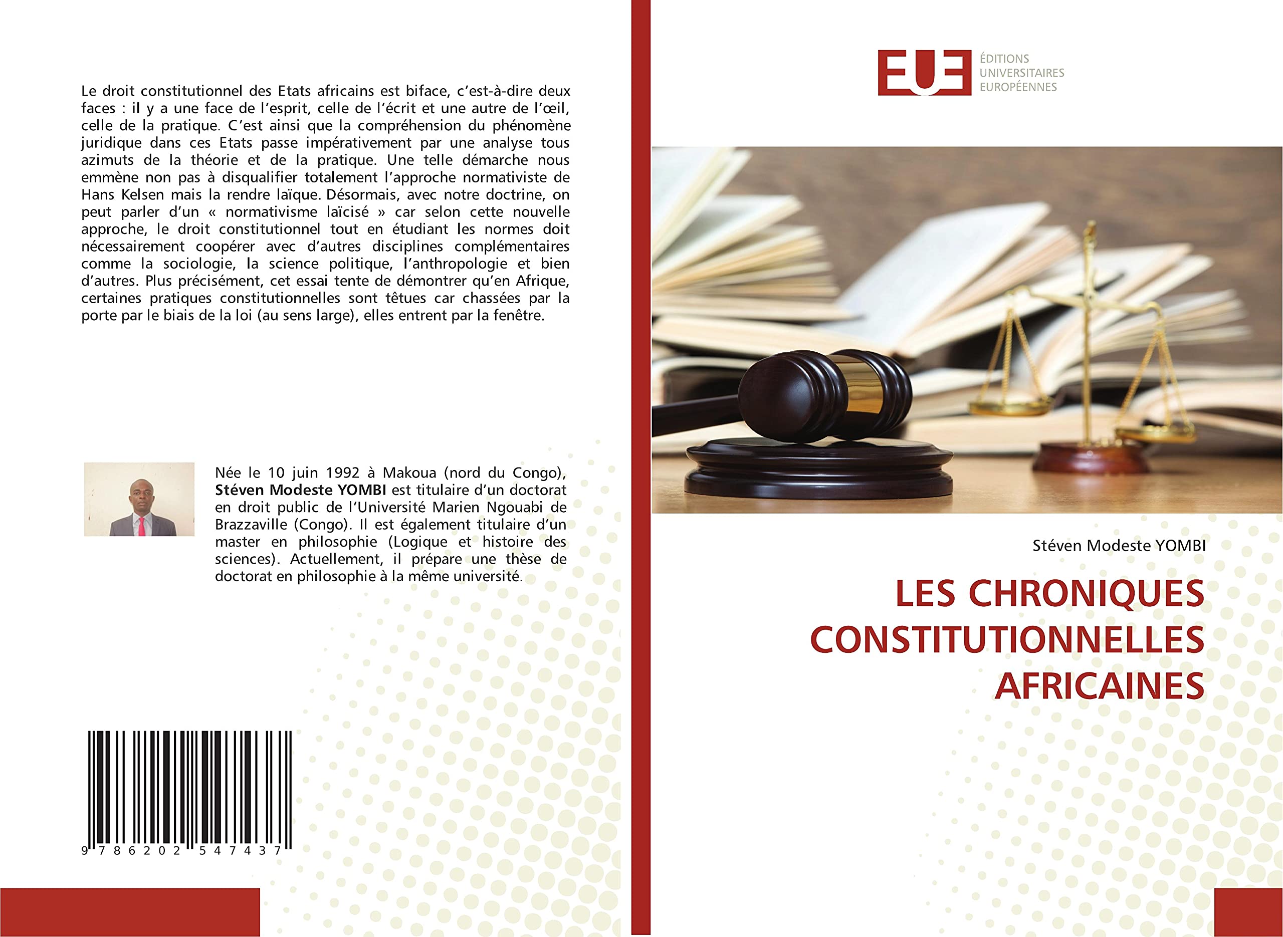 LES CHRONIQUES CONSTITUTIONNELLES AFRICAINES book