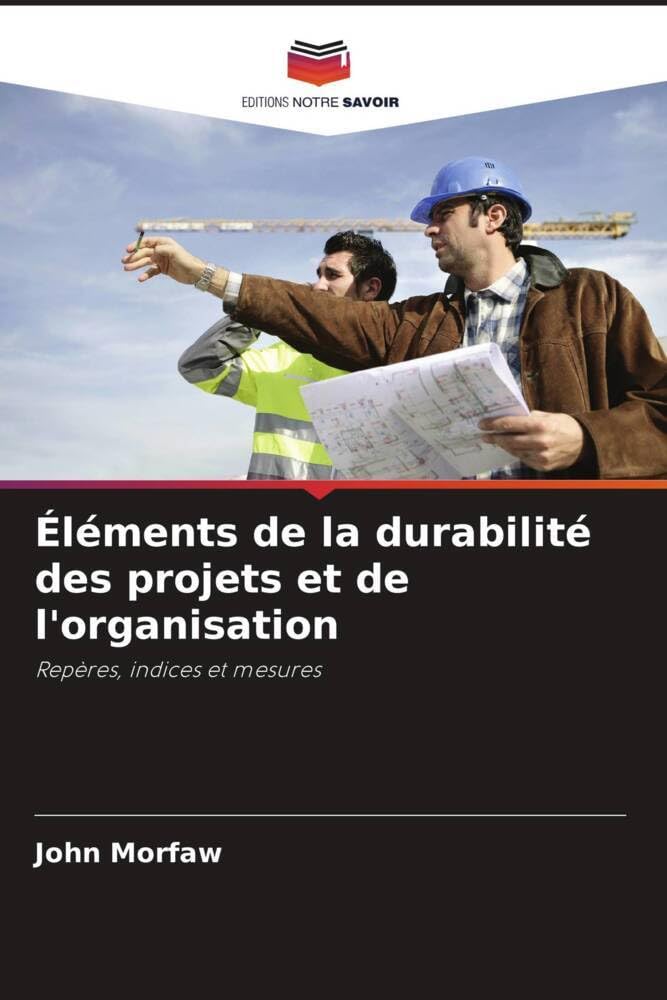 Éléments de la durabilité des projets et de l'organisation: Repères, indices et mesures book