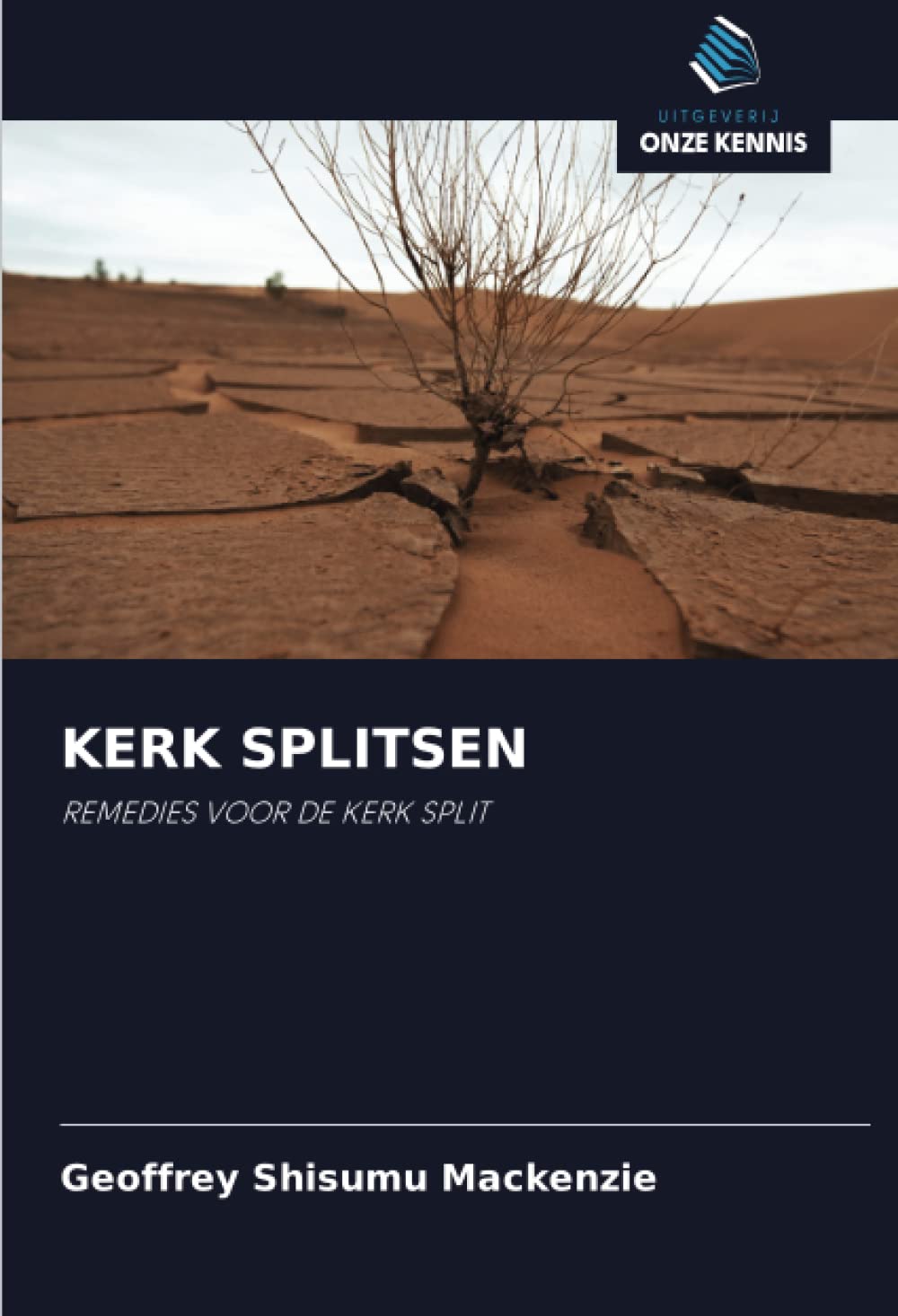 KERK SPLITSEN: REMEDIES VOOR DE KERK SPLIT book