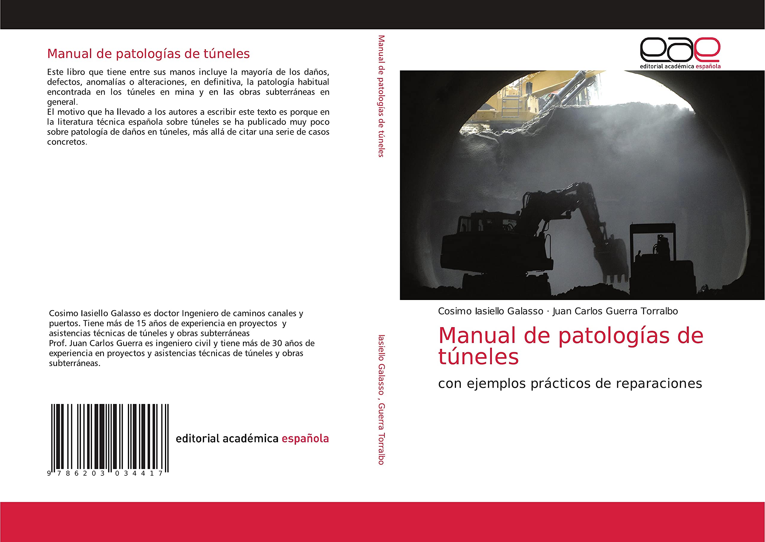 Manual de patologías de túneles: con ejemplos prácticos de reparaciones book