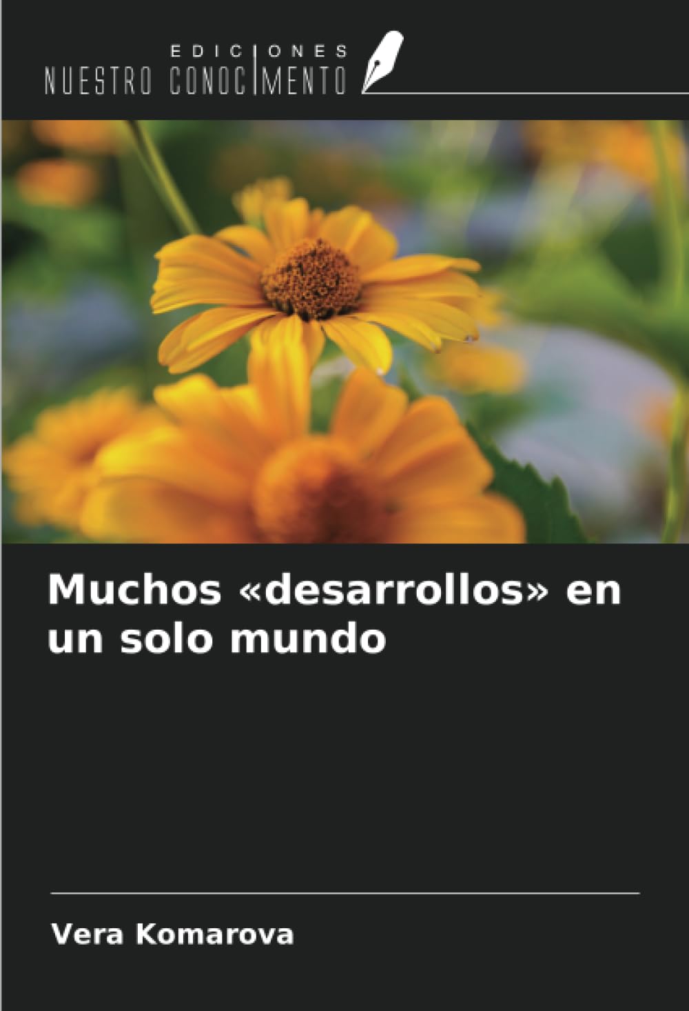 Muchos 'desarrollos' en un solo mundo Politics & History