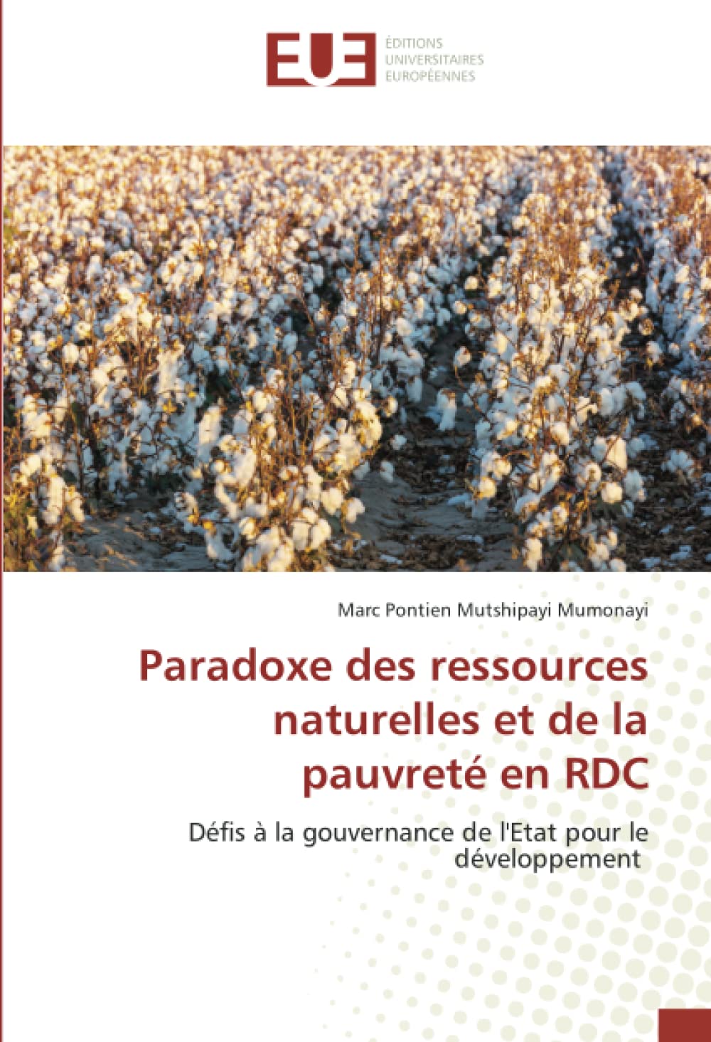 Paradoxe des ressources naturelles et de la pauvreté en RDC: Défis à la gouvernance de l'Etat pour le développement book