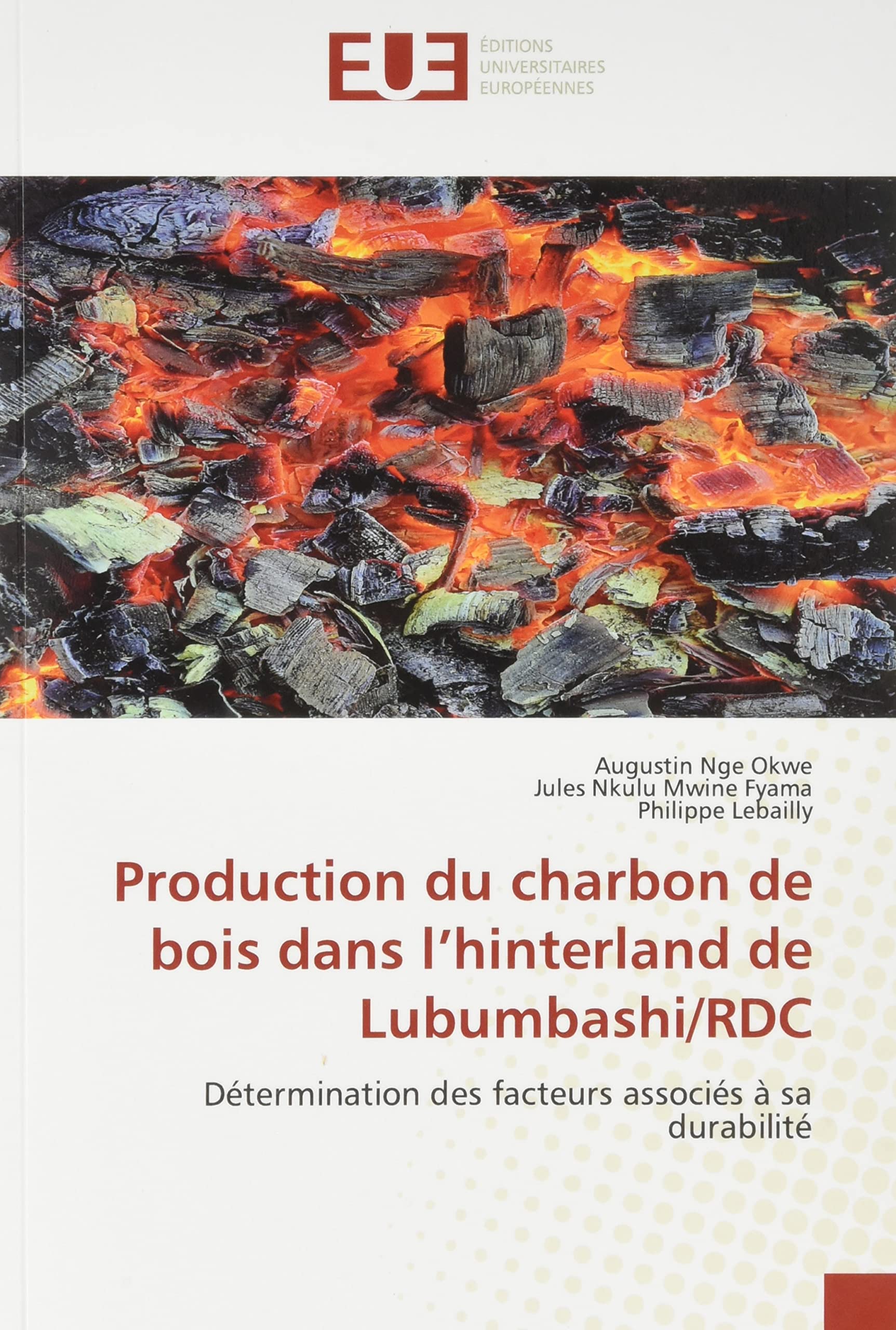 Production du charbon de bois dans l'hinterland de Lubumbashi/RDC: Détermination des facteurs associés à sa durabilité book