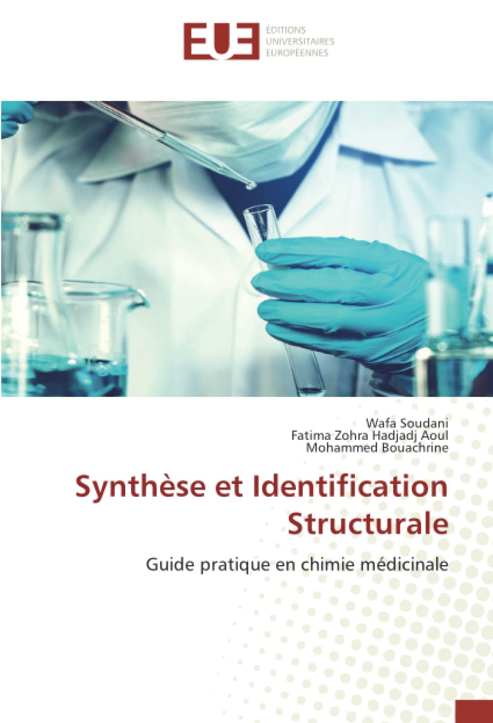 Synthèse et Identification Structurale: Guide pratique en chimie médicinale book