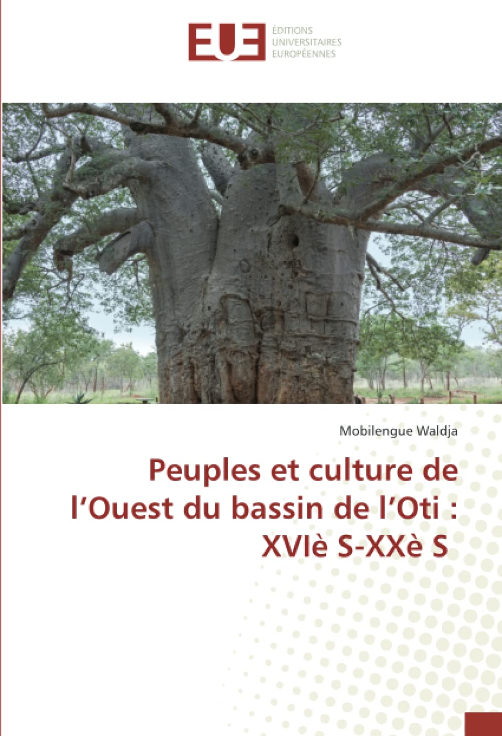 Peuples et culture de l’Ouest du bassin de l’Oti : XVIè S-XXè S book
