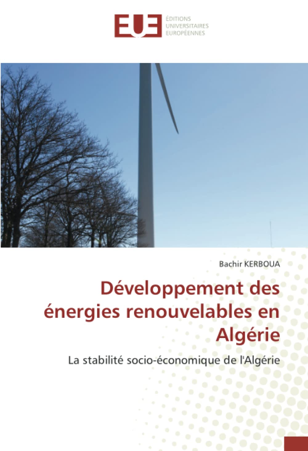 Développement des énergies renouvelables en Algérie: La stabilité socio-économique de l'Algérie book