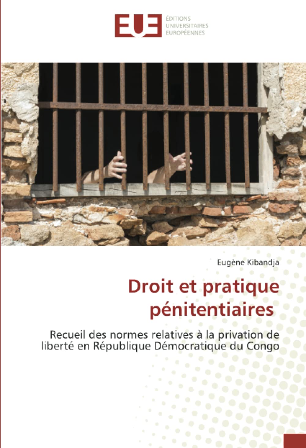 Droit et pratique pénitentiaires: Recueil des normes relatives à la privation de liberté en République Démocratique du Congo book