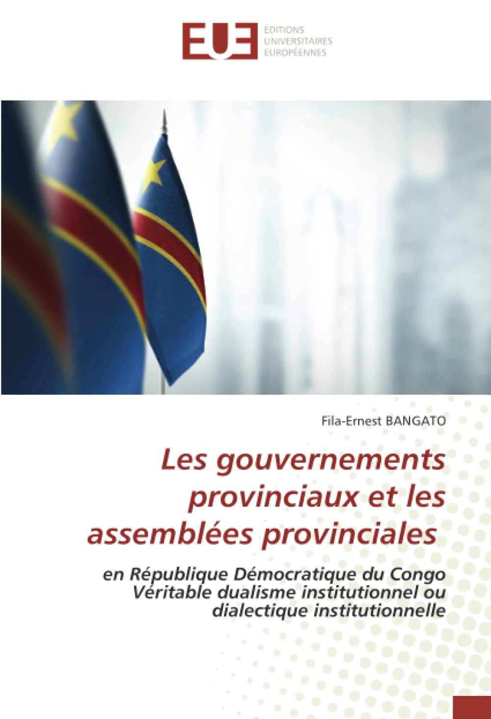 Les gouvernements provinciaux et les assemblées provinciales: en République Démocratique du Congo Véritable dualisme institutionnel ou dialectique institutionnelle book