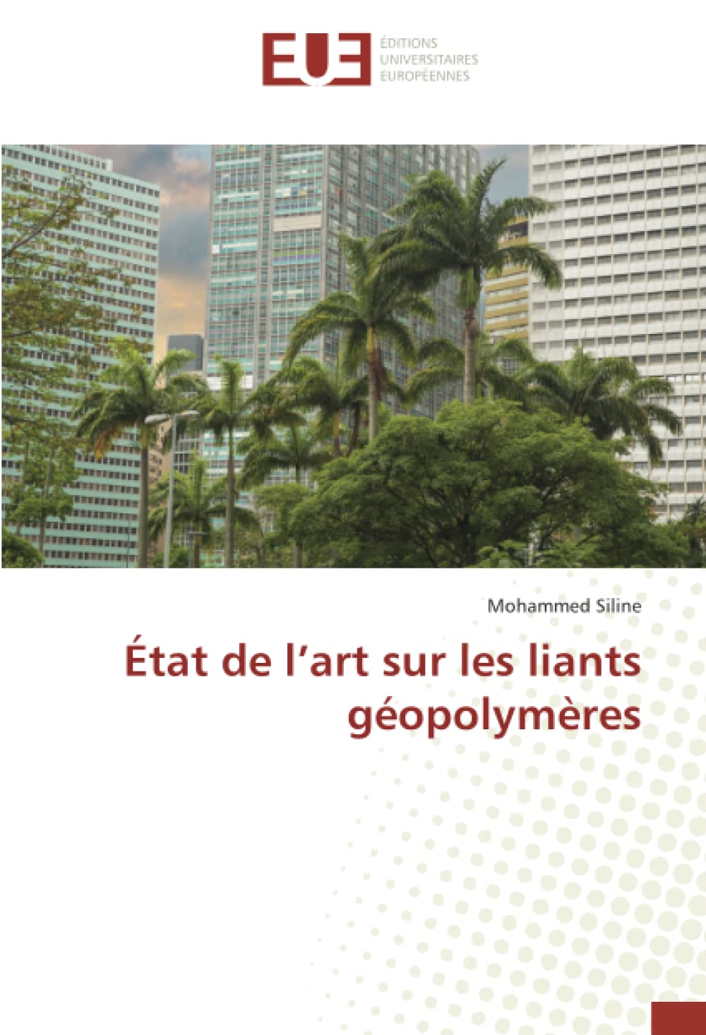 État de l’art sur les liants géopolymères book