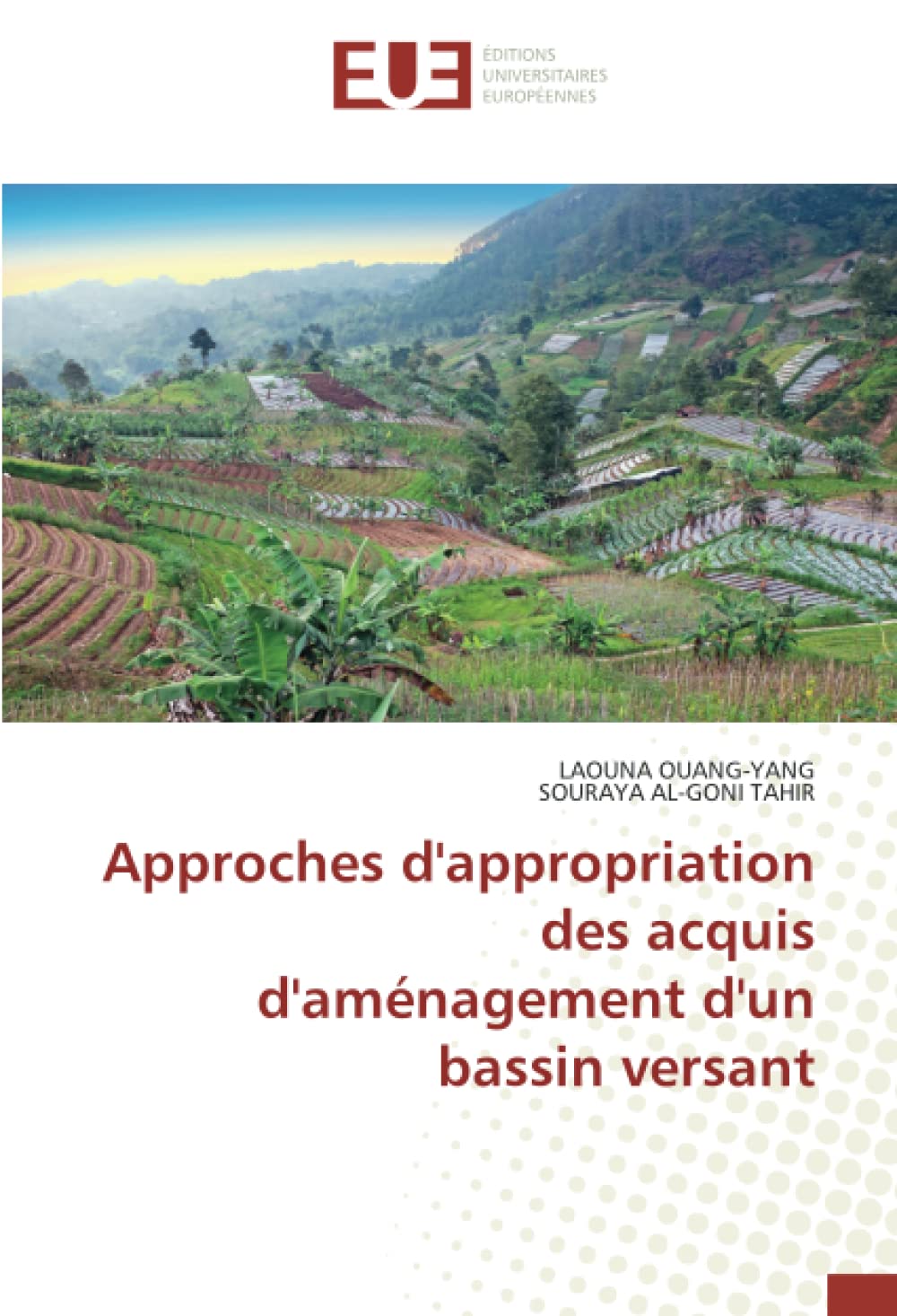 Approches d'appropriation des acquis d'aménagement d'un bassin versant book