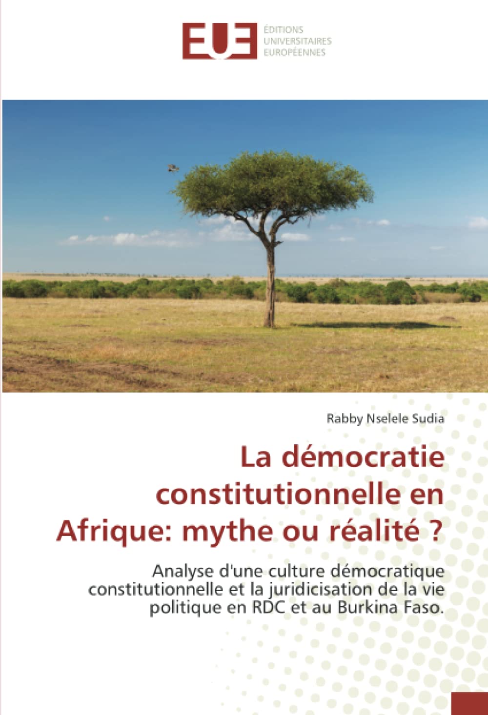 La démocratie constitutionnelle en Afrique: mythe ou réalité ?: Analyse d'une culture démocratique constitutionnelle et la juridicisation de la vie politique en RDC et au Burkina Faso. book