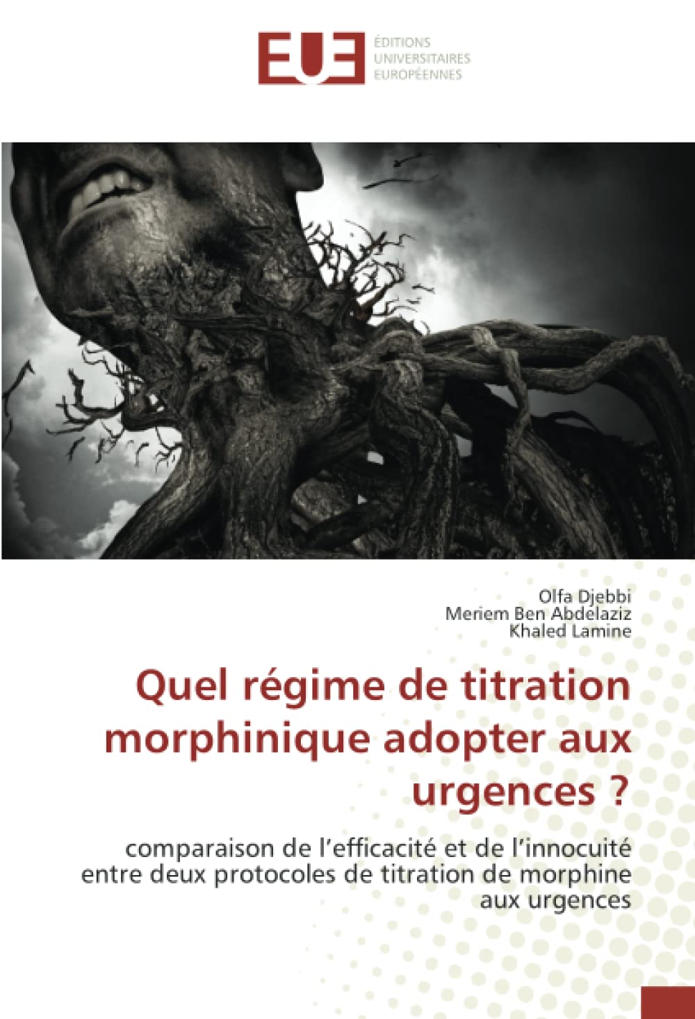 Quel régime de titration morphinique adopter aux urgences ?: comparaison de l’efficacité et de l’innocuité entre deux protocoles de titration de morphine aux urgences book
