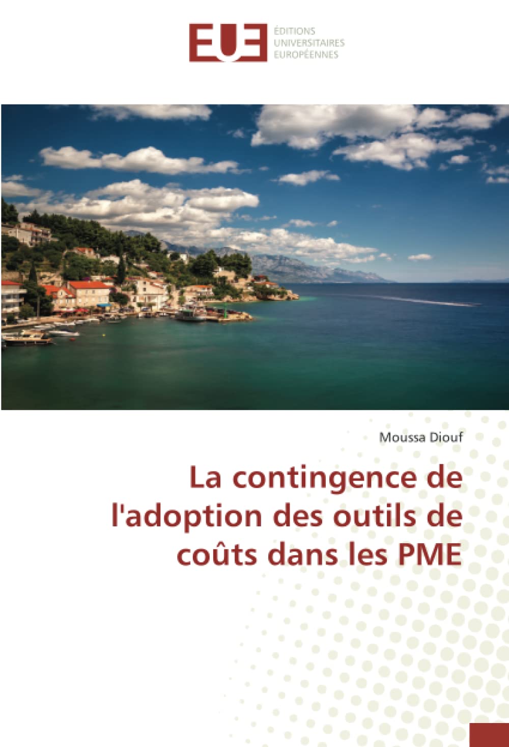 La contingence de l'adoption des outils de coûts dans les PME book
