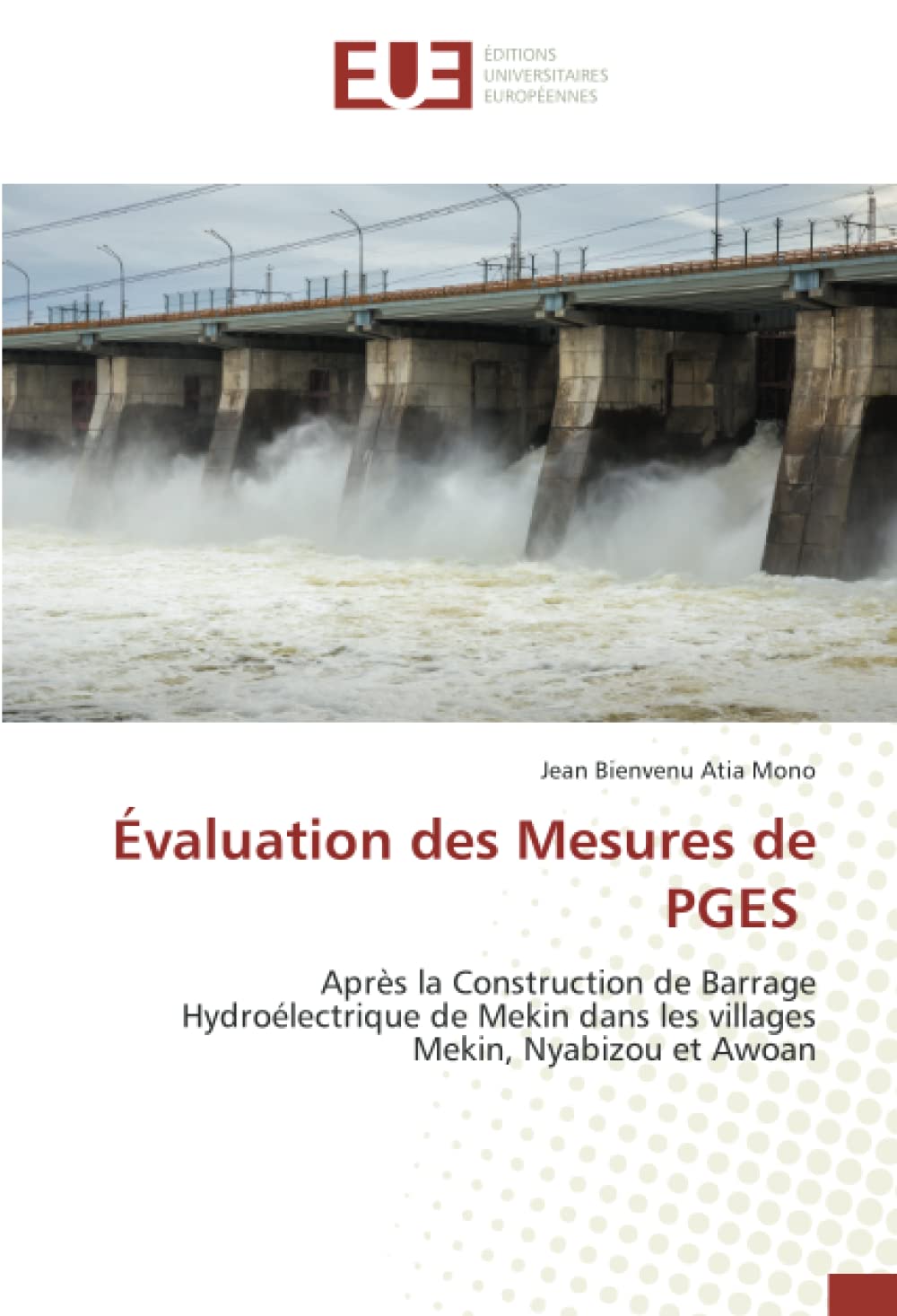 Évaluation des Mesures de PGES: Après la Construction de Barrage Hydroélectrique de Mekin dans les villages Mekin, Nyabizou et Awoan book