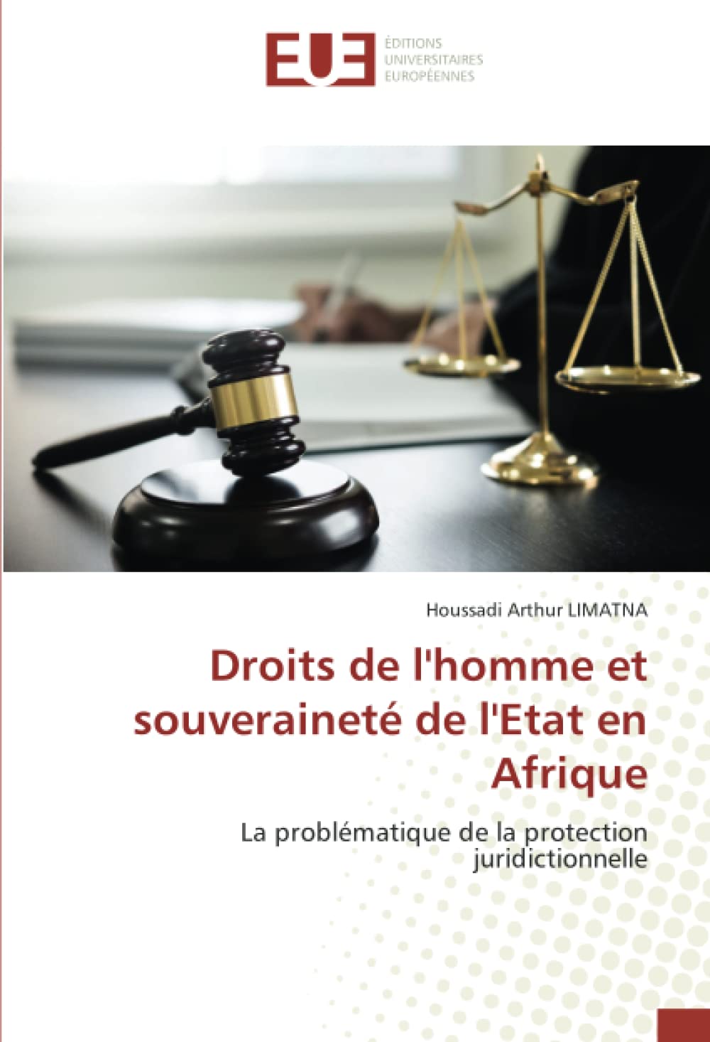 Droits de l'homme et souveraineté de l'Etat en Afrique: La problématique de la protection juridictionnelle book