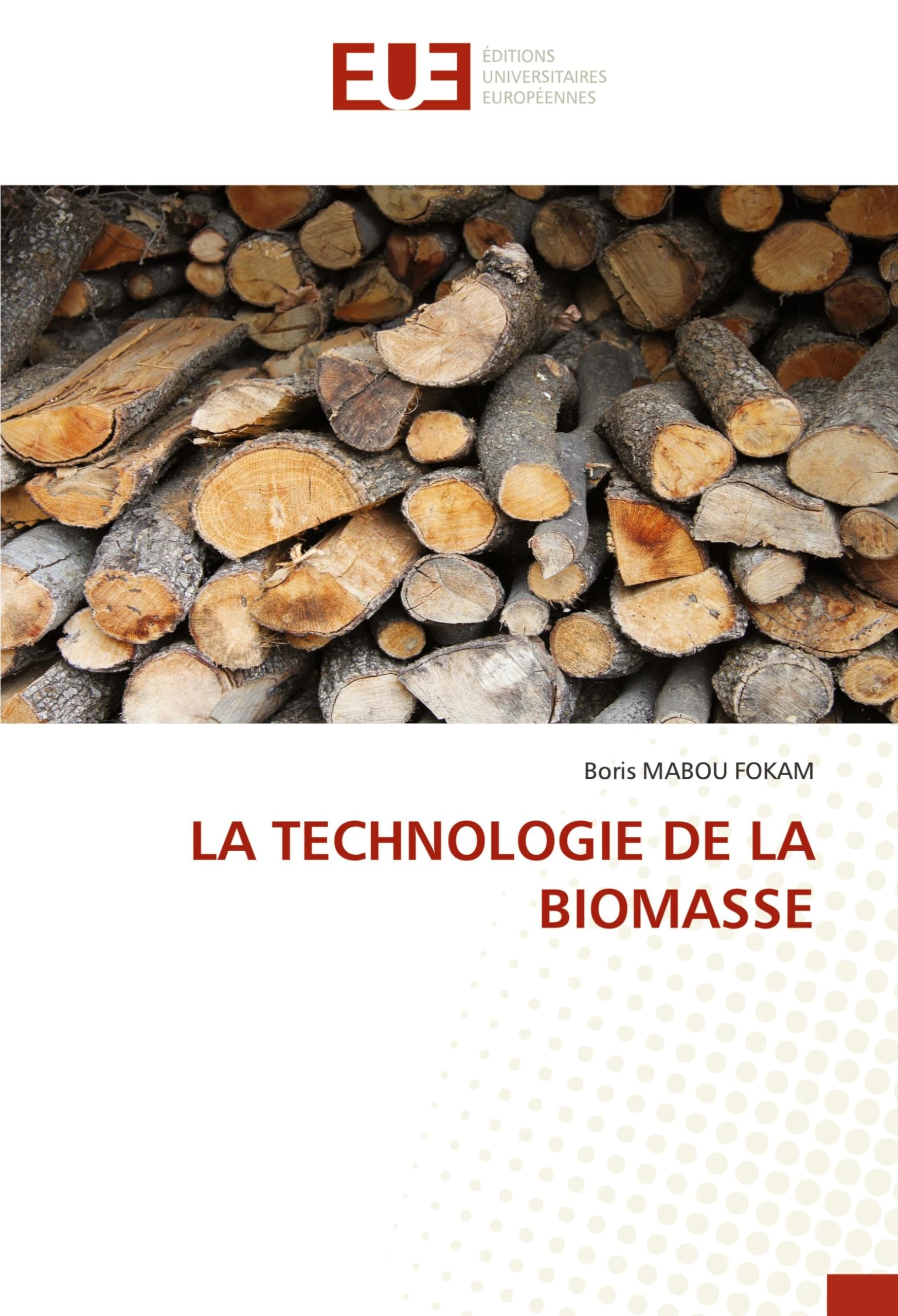 LA TECHNOLOGIE DE LA BIOMASSE book
