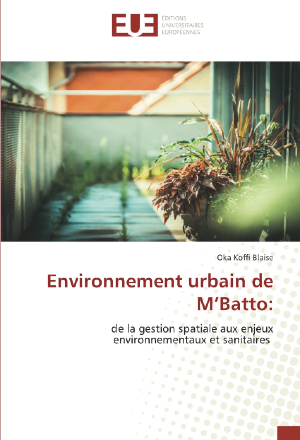 Environnement urbain de M’Batto:: de la gestion spatiale aux enjeux environnementaux et sanitaires book