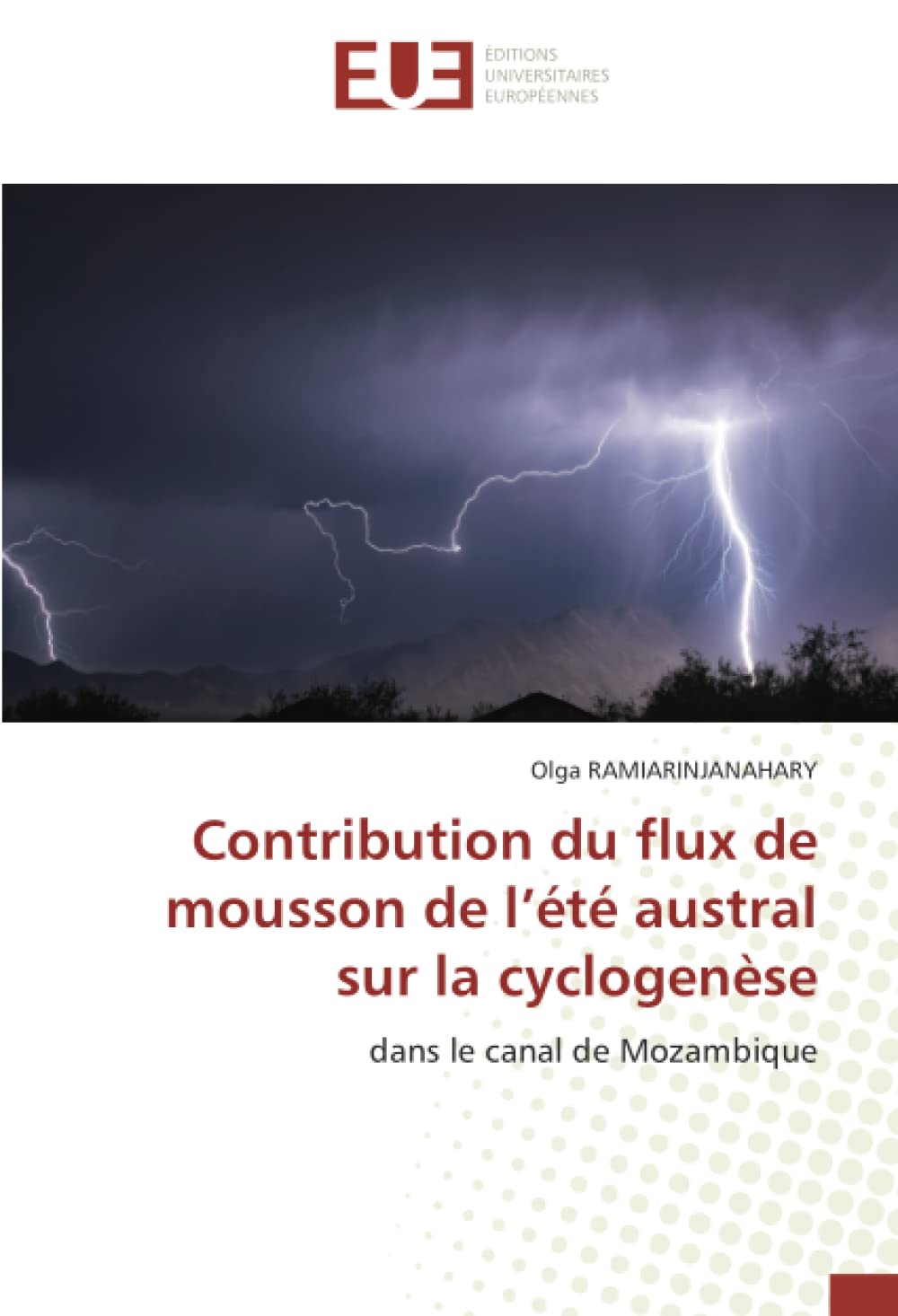 Contribution du flux de mousson de l’été austral sur la cyclogenèse: dans le canal de Mozambique book