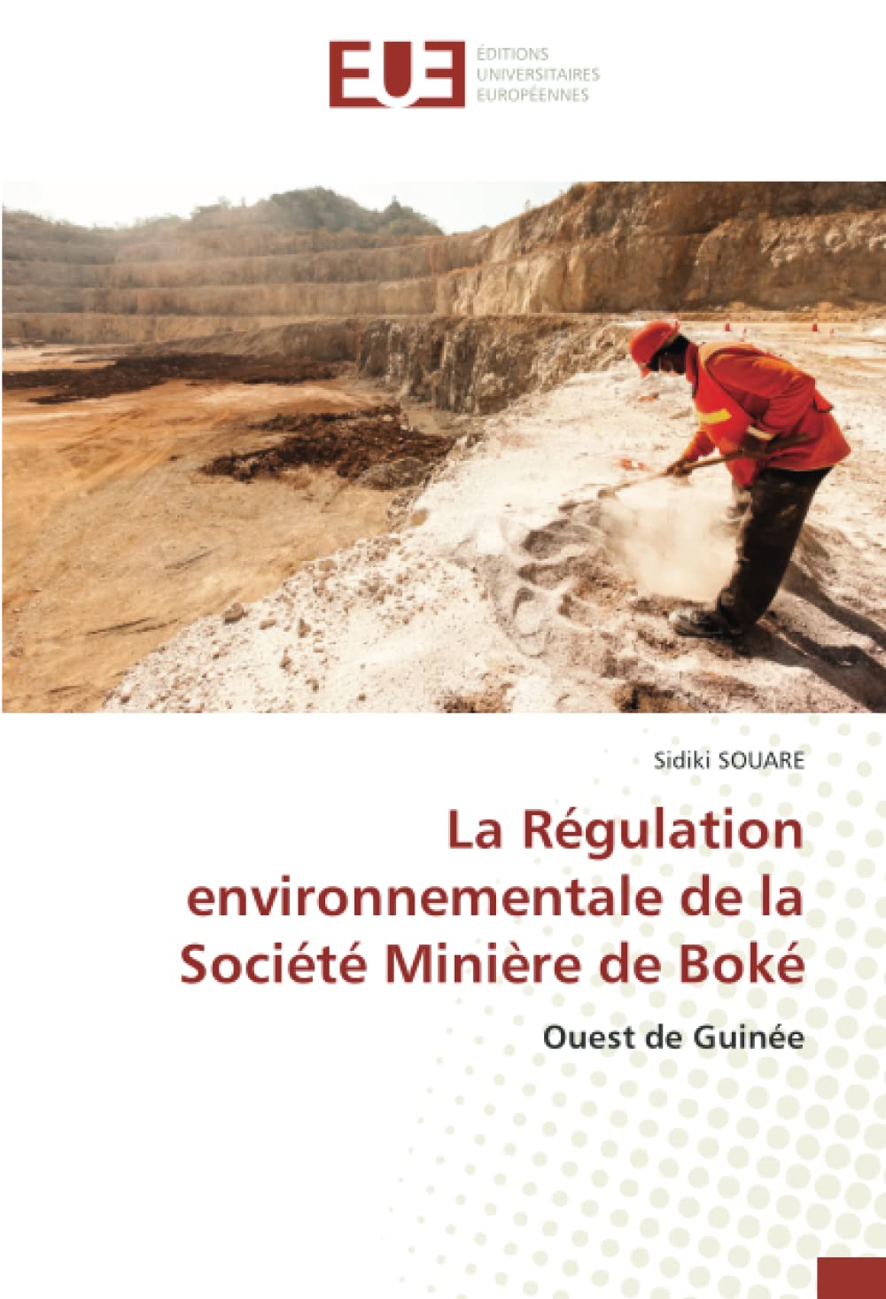 La Régulation environnementale de la Société Minière de Boké: Ouest de Guinée book