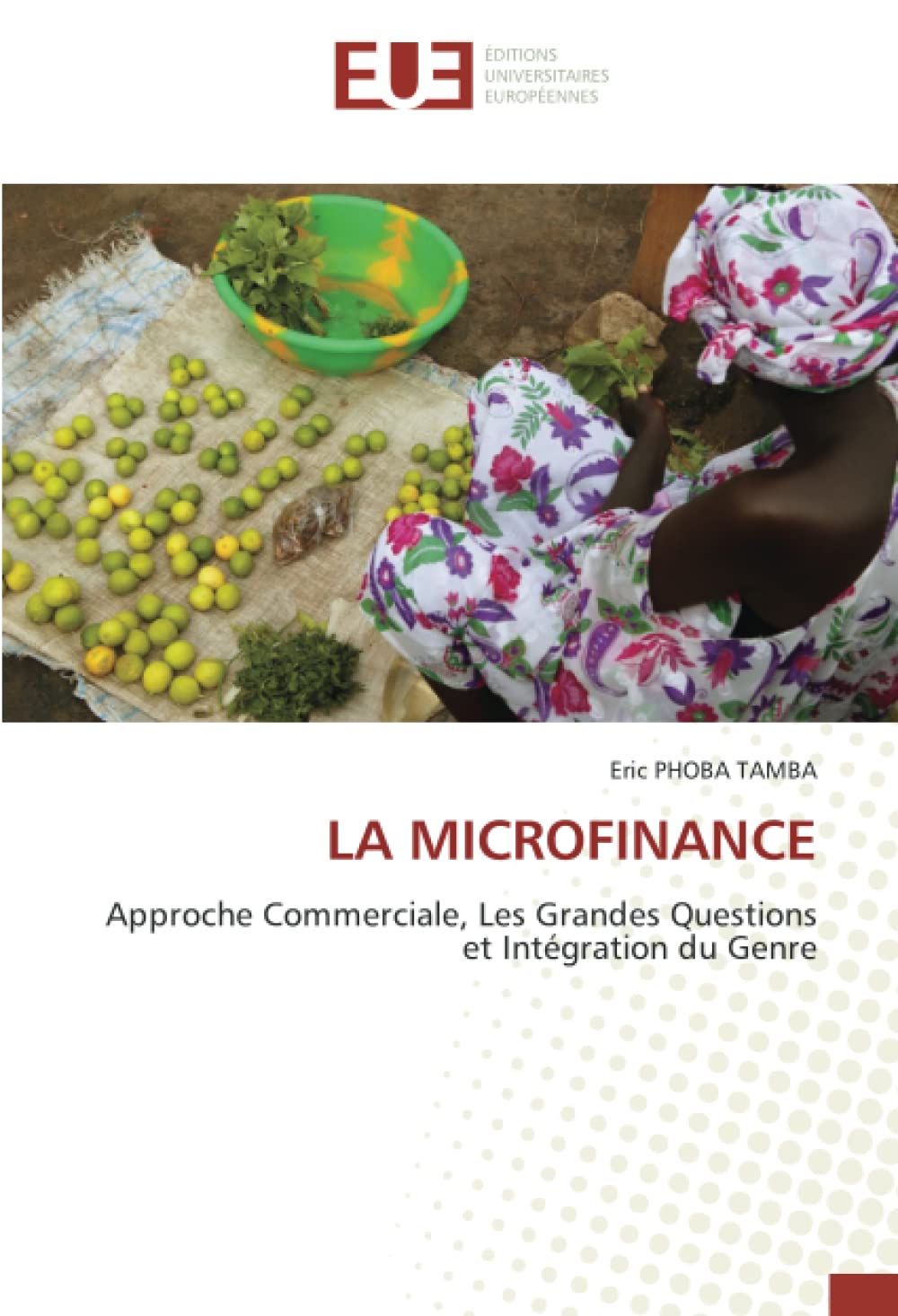LA MICROFINANCE: Approche Commerciale, Les Grandes Questions et Intégration du Genre book