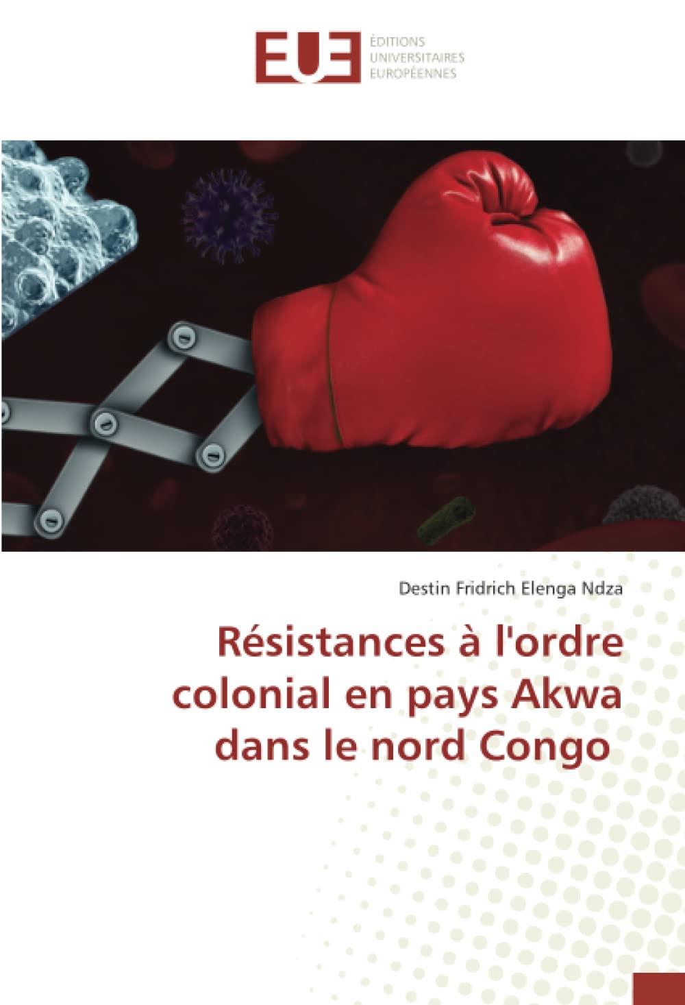 Résistances à l'ordre colonial en pays Akwa dans le nord Congo book