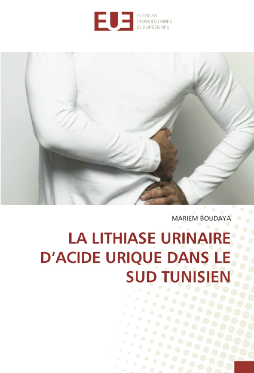 LA LITHIASE URINAIRE D’ACIDE URIQUE DANS LE SUD TUNISIEN book