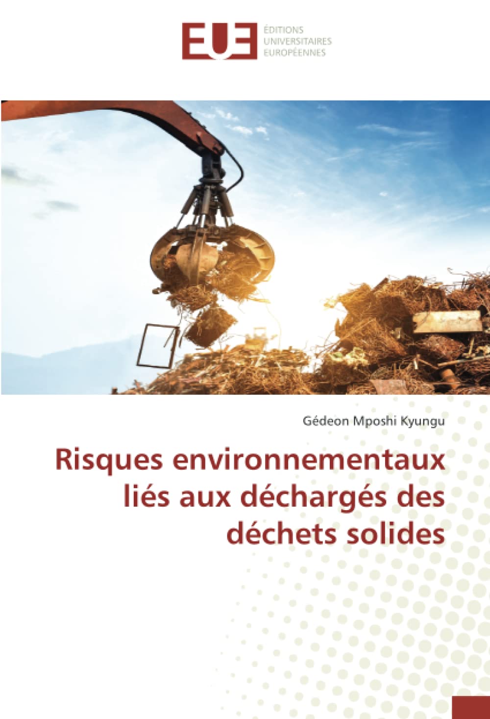 Risques environnementaux liés aux déchargés des déchets solides book