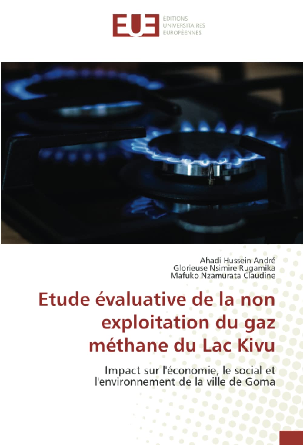 Etude évaluative de la non exploitation du gaz méthane du Lac Kivu: Impact sur l'économie, le social et l'environnement de la ville de Goma book