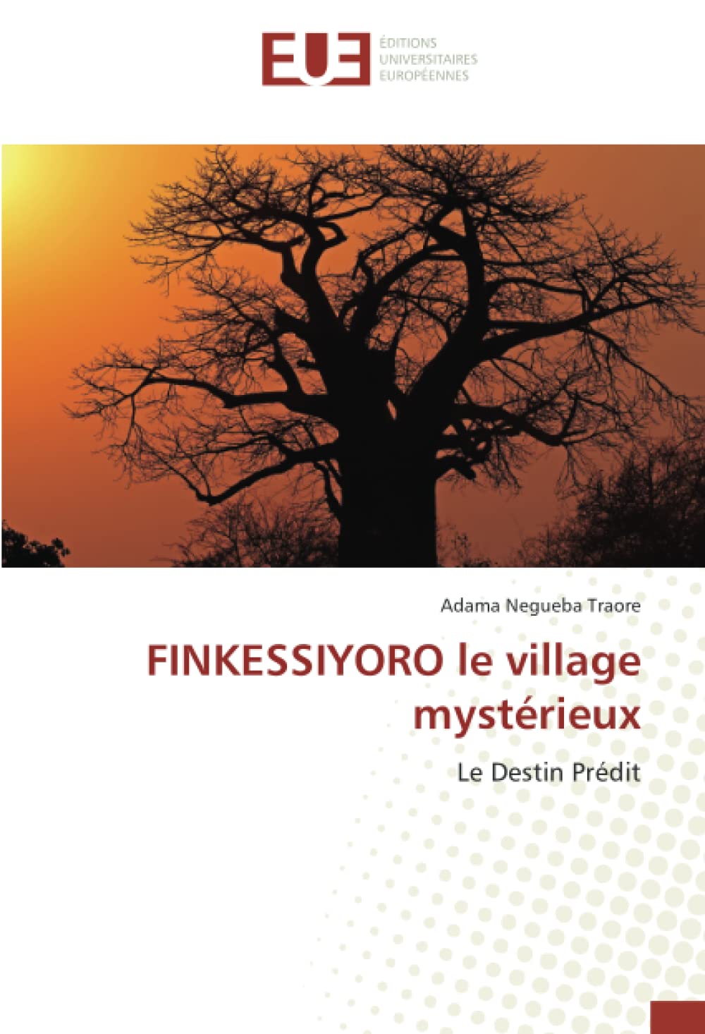 FINKESSIYORO le village mystérieux: Le Destin Prédit book