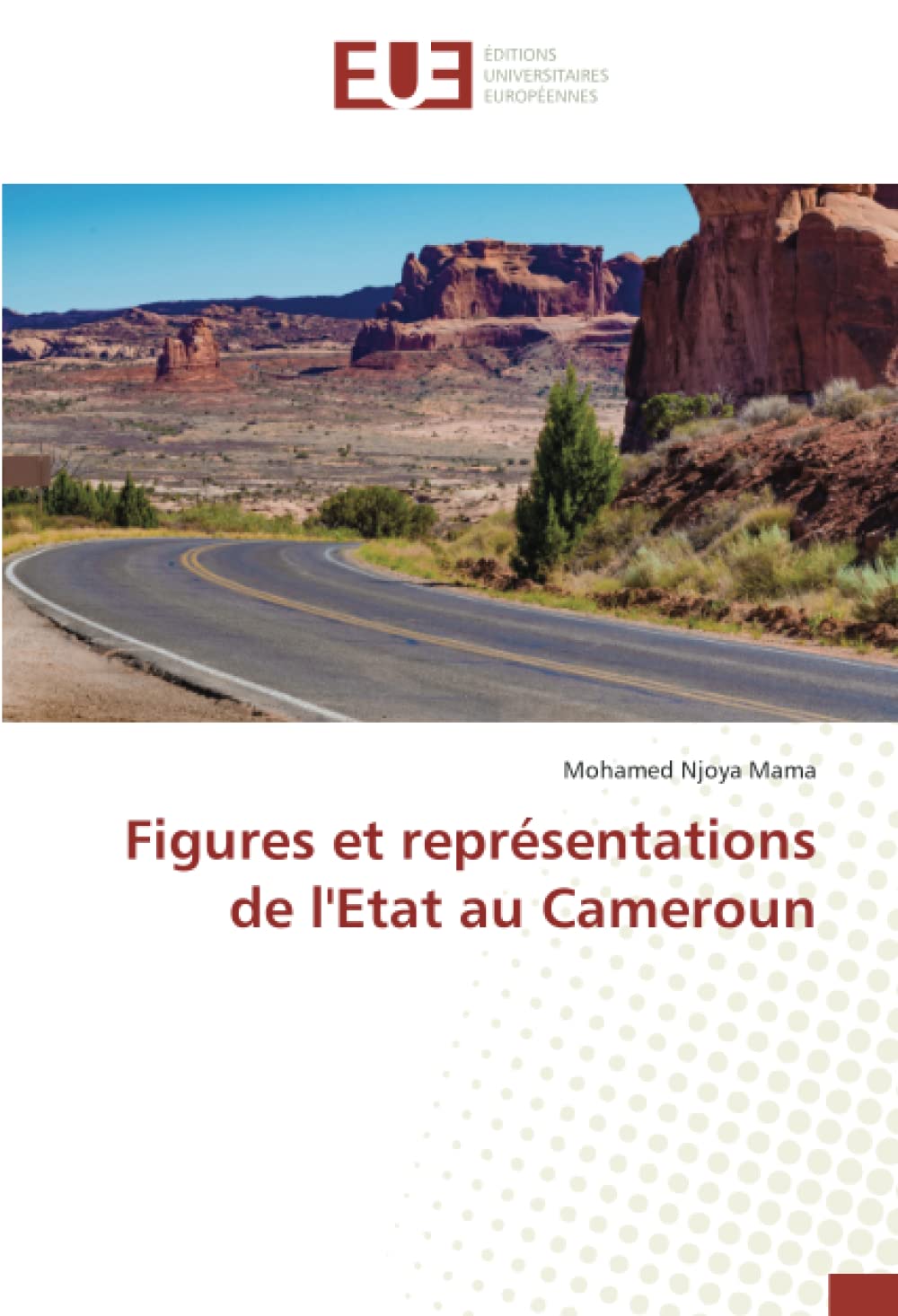 Figures et représentations de l'Etat au Cameroun book