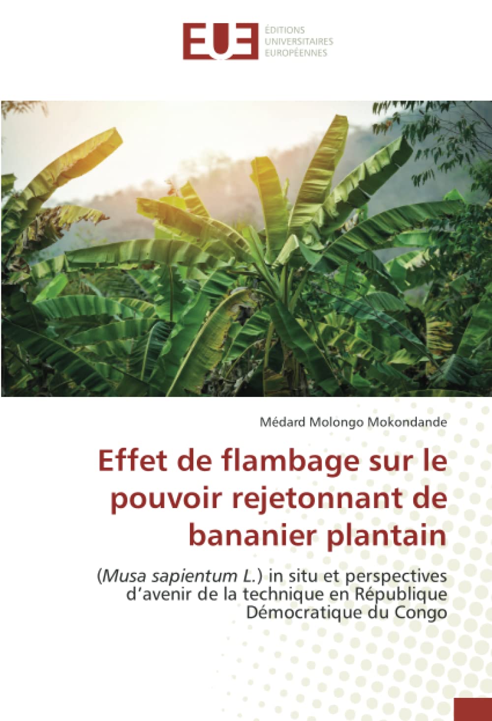 Effet de flambage sur le pouvoir rejetonnant de bananier plantain: (Musa sapientum L.) in situ et perspectives d’avenir de la technique en République Démocratique du Congo book