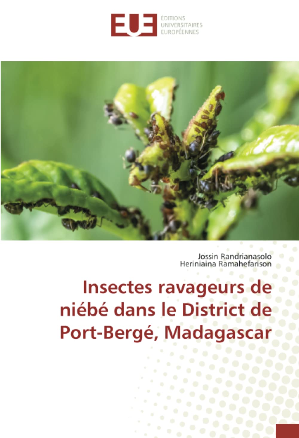 Insectes ravageurs de niébé dans le District de Port-Bergé, Madagascar book