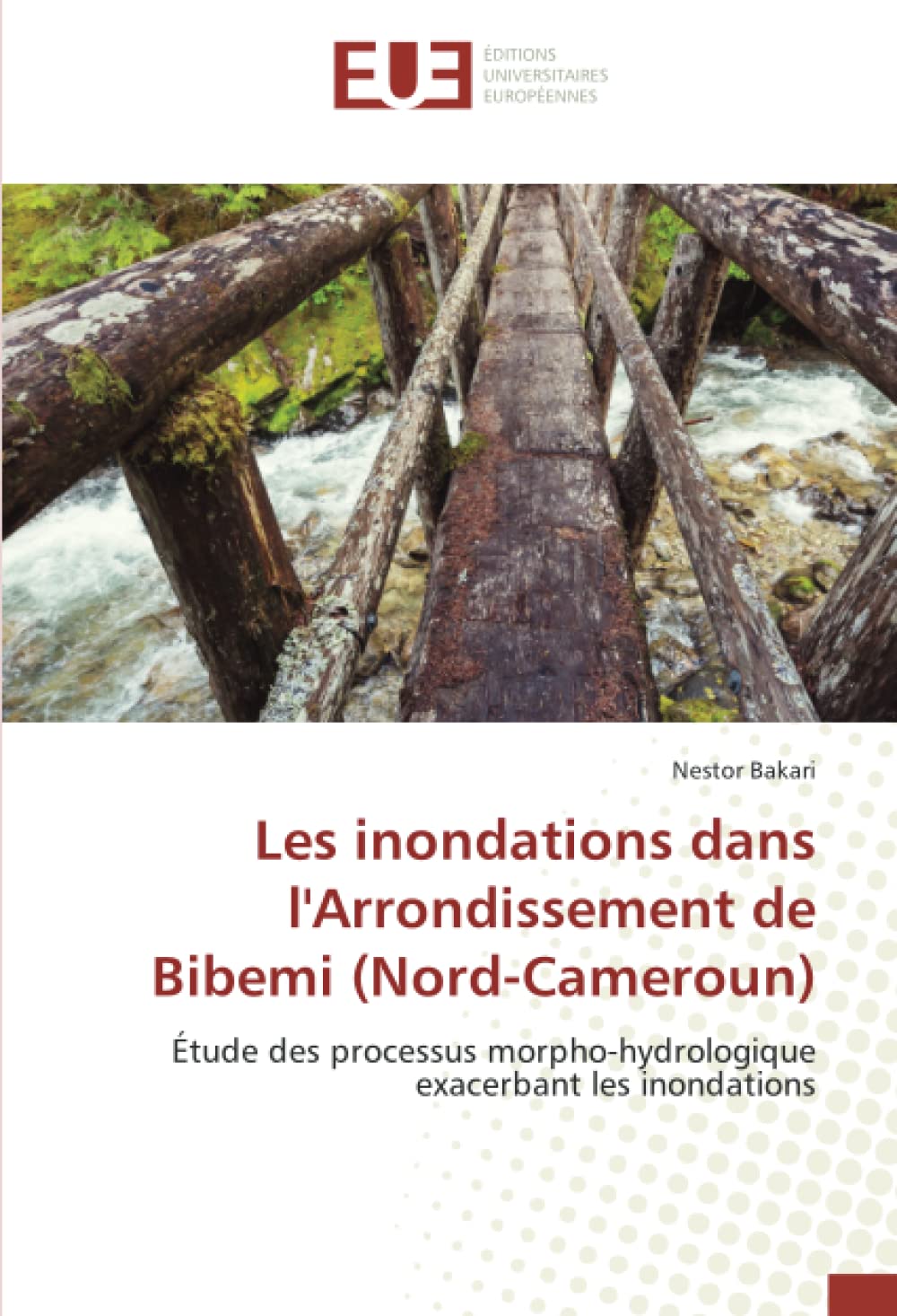 Les inondations dans l'Arrondissement de Bibemi (Nord-Cameroun): Étude des processus morpho-hydrologique exacerbant les inondations book