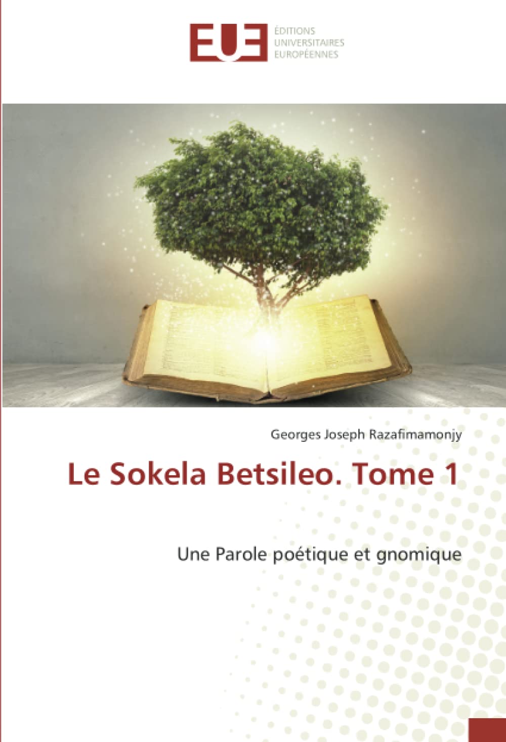 Le Sokela Betsileo. Tome 1: Une Parole poétique et gnomique book