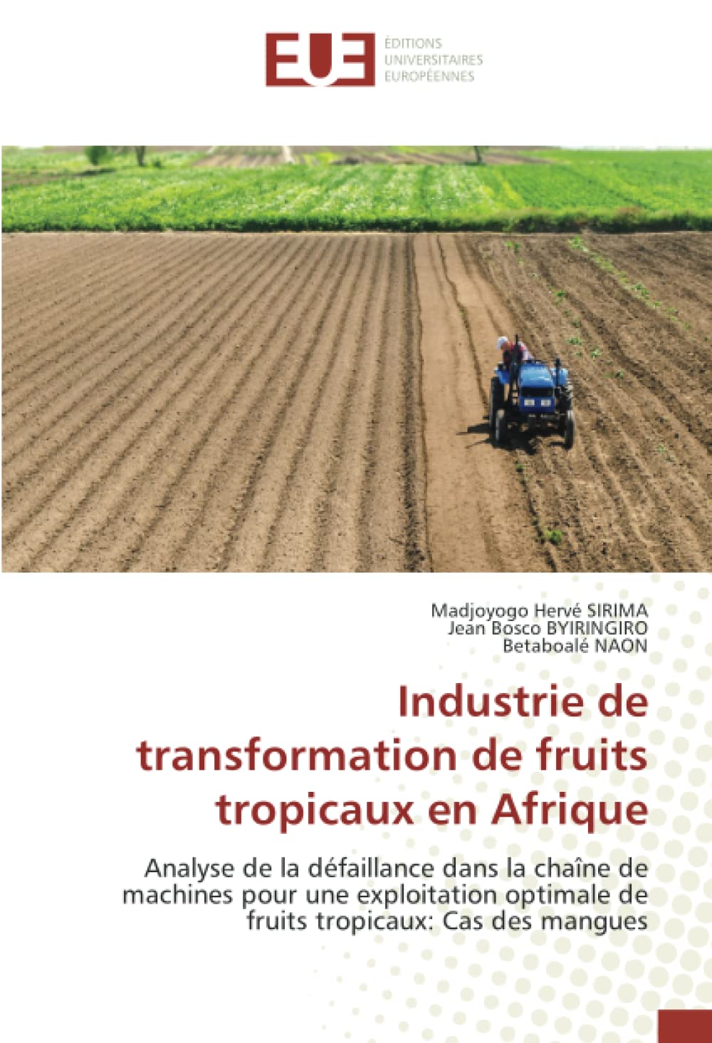 Industrie de transformation de fruits tropicaux en Afrique: Analyse de la défaillance dans la chaîne de machines pour une exploitation optimale de fruits tropicaux: Cas des mangues book