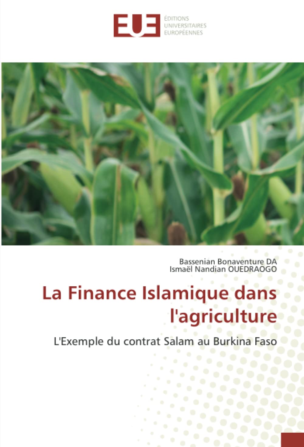 La Finance Islamique dans l'agriculture: L'Exemple du contrat Salam au Burkina Faso book