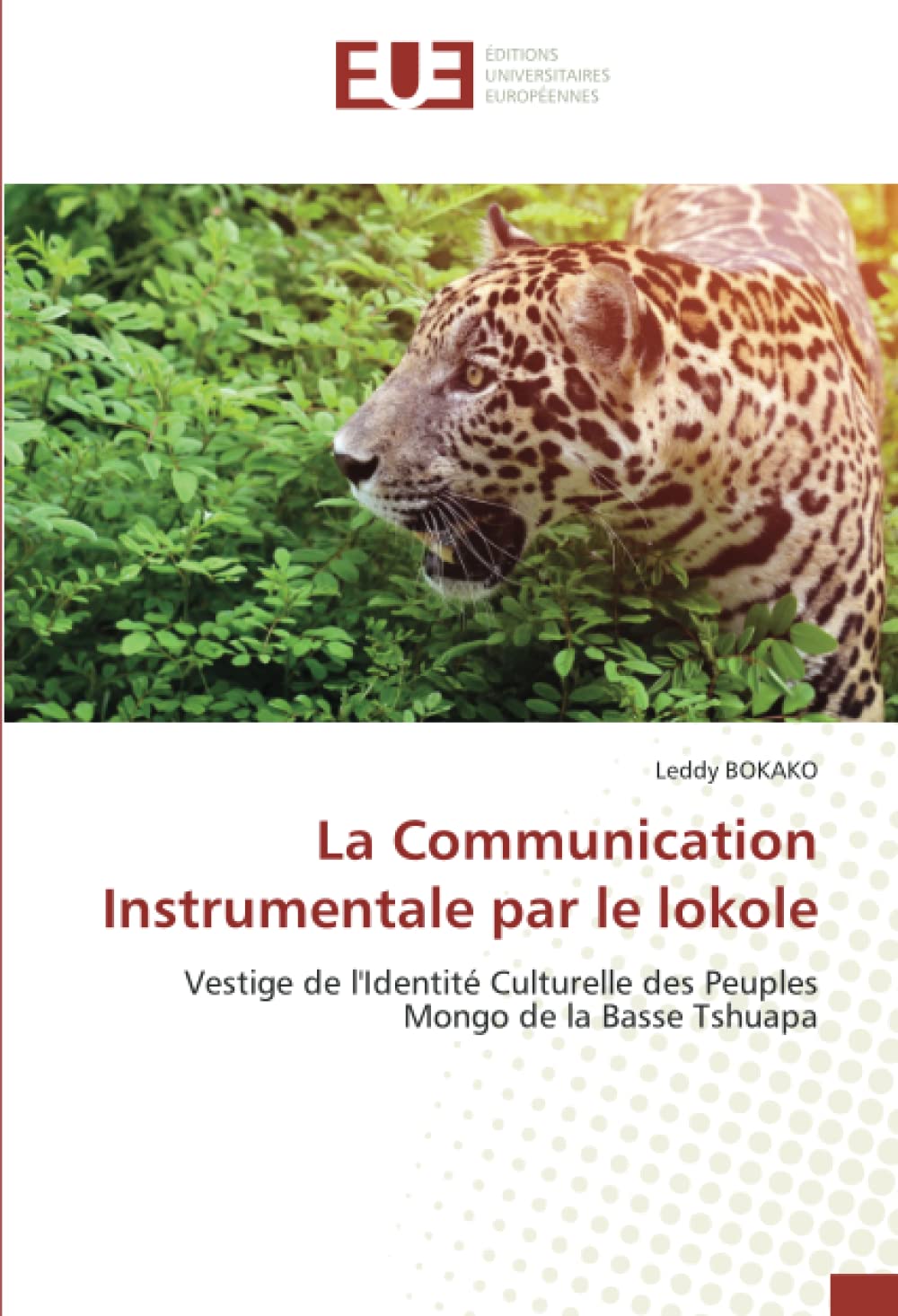 La Communication Instrumentale par le lokole: Vestige de l'Identité Culturelle des Peuples Mongo de la Basse Tshuapa book