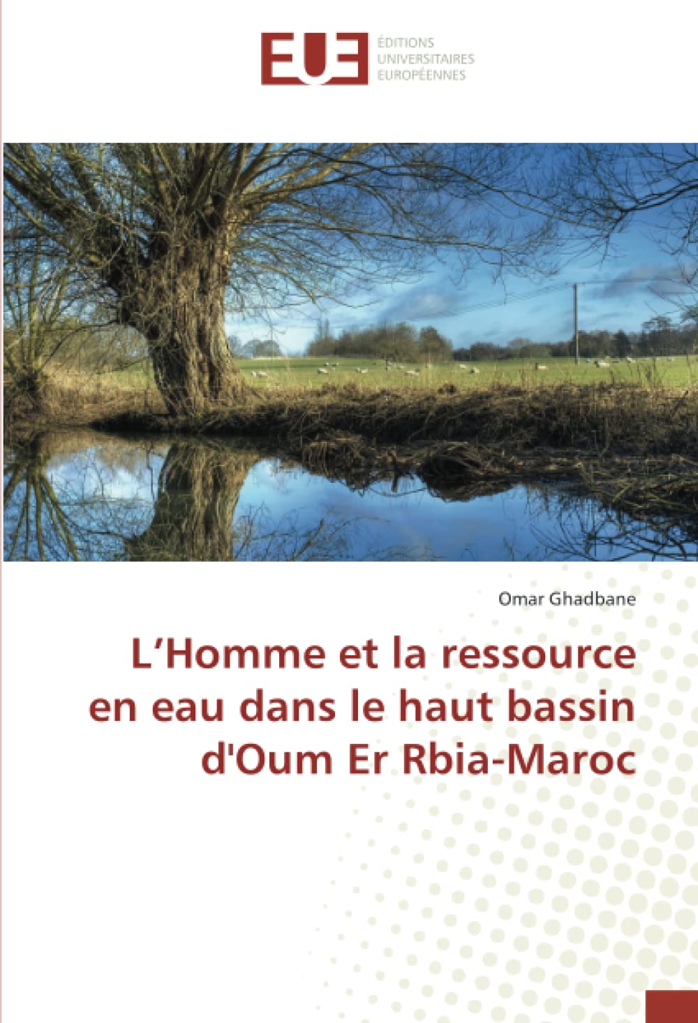 L’Homme et la ressource en eau dans le haut bassin d'Oum Er Rbia-Maroc book