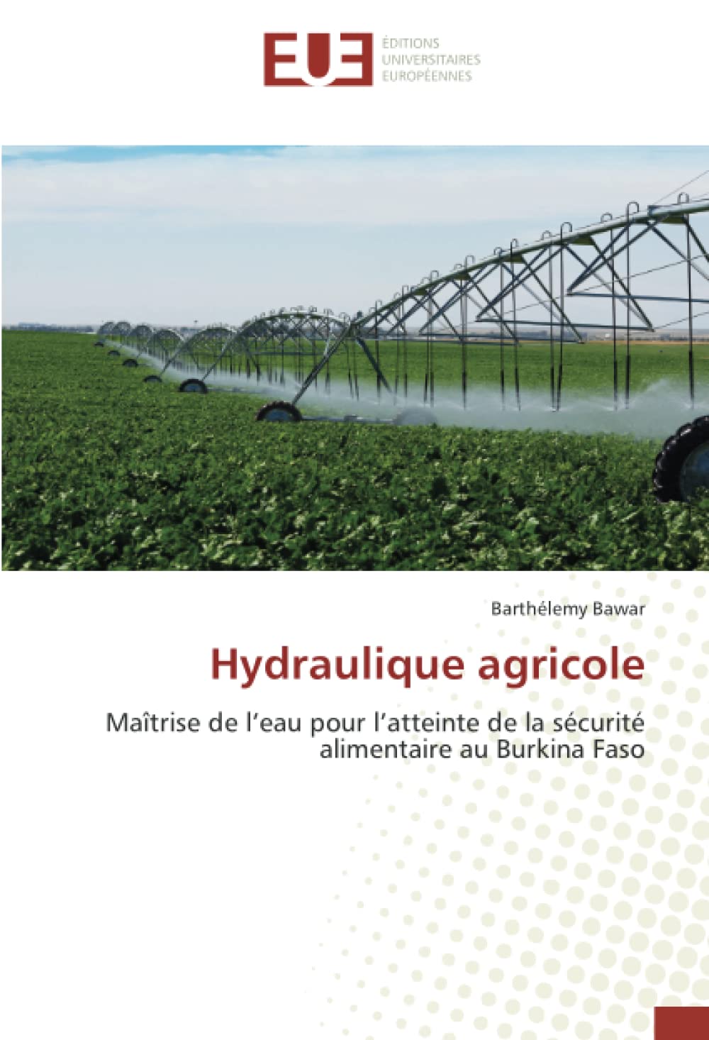 Hydraulique agricole: Maîtrise de l’eau pour l’atteinte de la sécurité alimentaire au Burkina Faso book