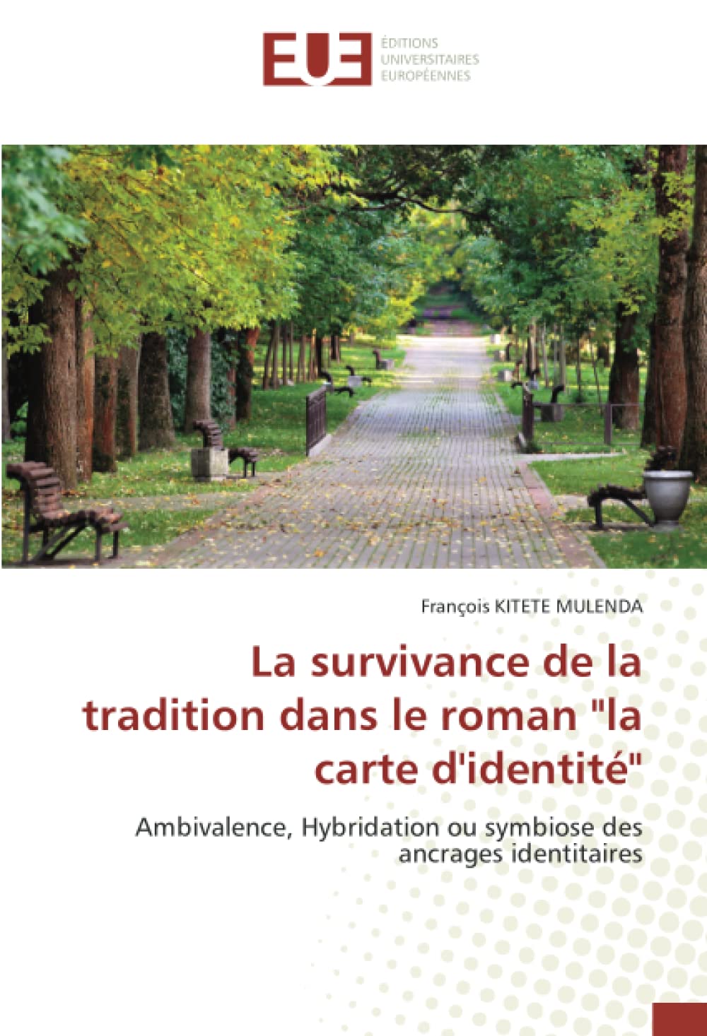 La survivance de la tradition dans le roman "la carte d'identité": Ambivalence, Hybridation ou symbiose des ancrages identitaires book