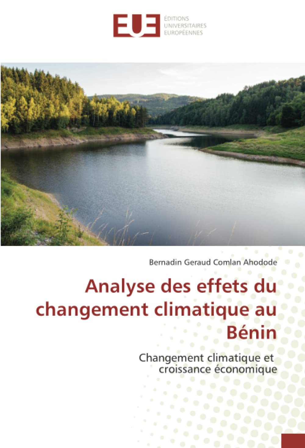 Analyse des effets du changement climatique au Bénin: Changement climatique et croissance économique book