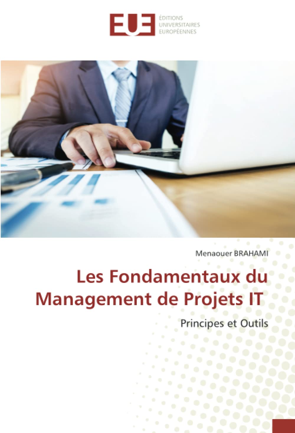 Les Fondamentaux du Management de Projets IT: Principes et Outils book
