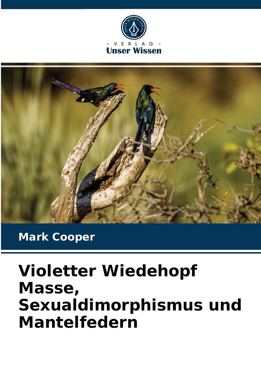 Violetter Wiedehopf Masse, Sexualdimorphismus und Mantelfedern Natural Sciences