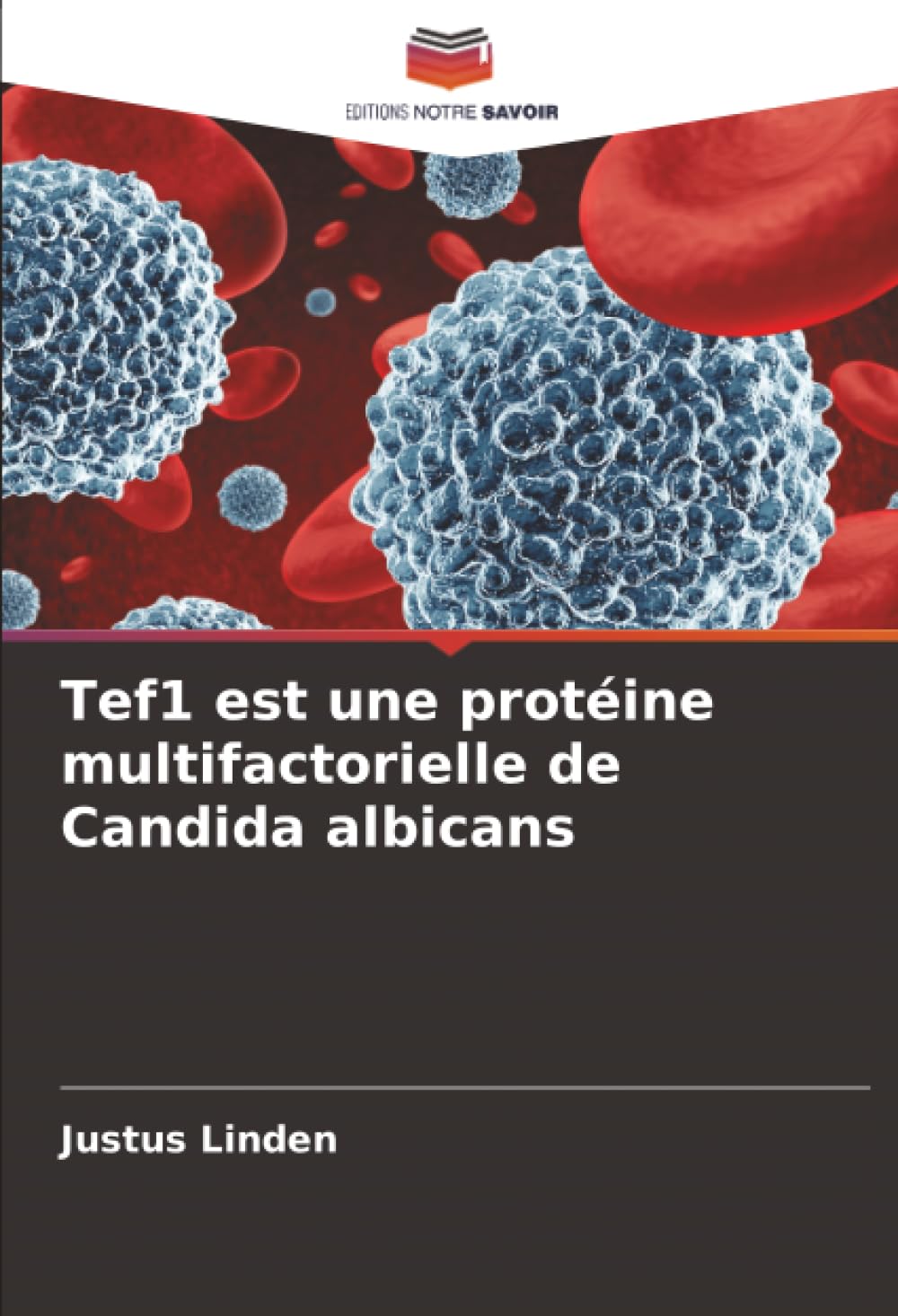 Tef1 est une protéine multifactorielle de Candida albicans Medicine